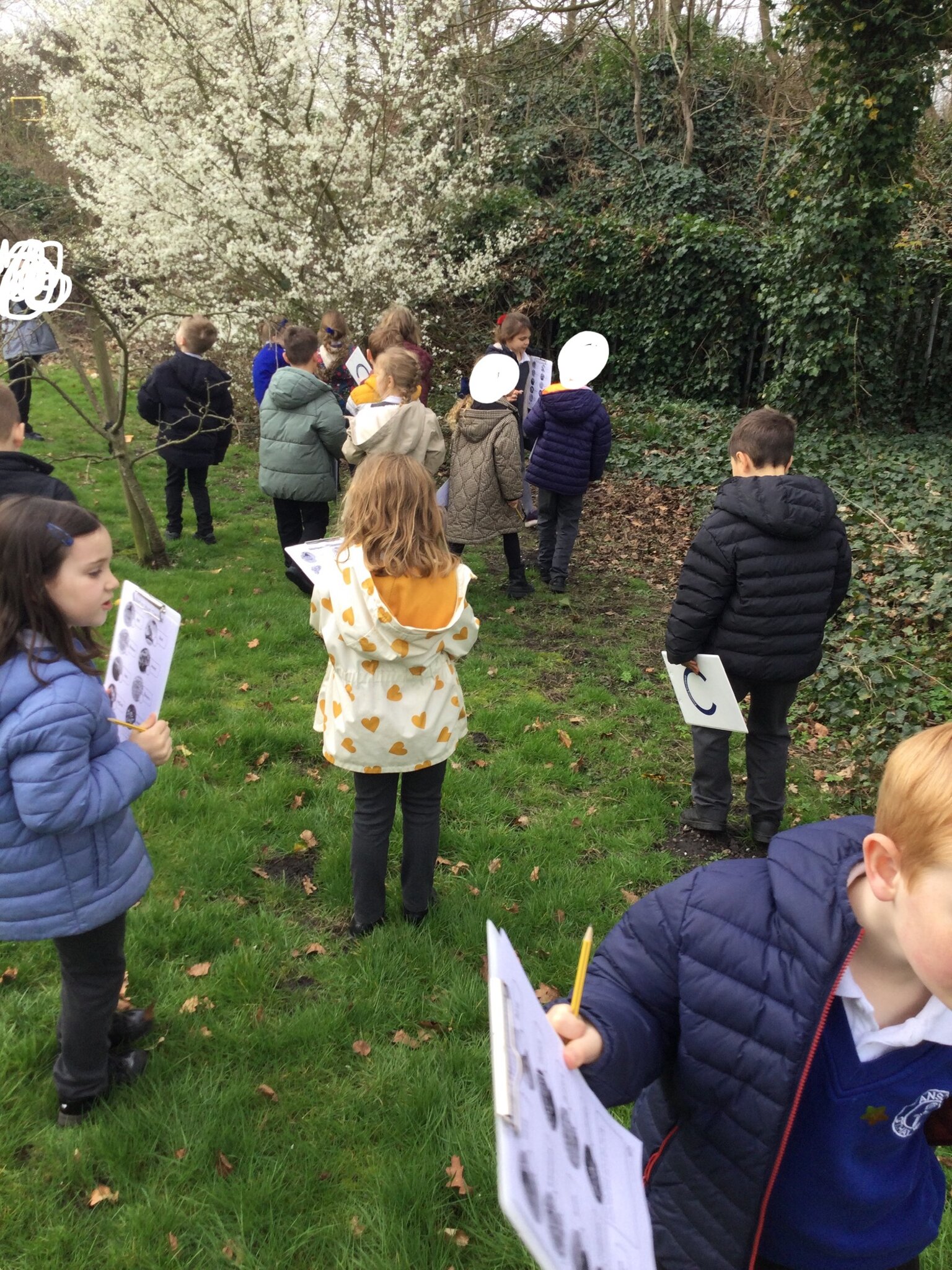 Image of Spring walk