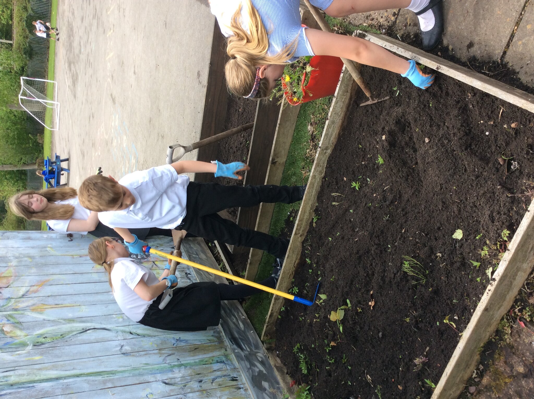 Image of Gardening in class 4 