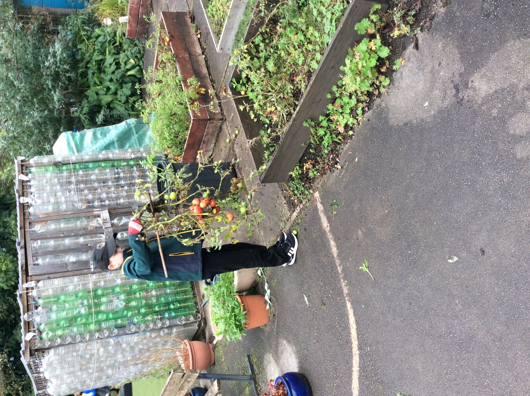 Image of Tidying up the gardens