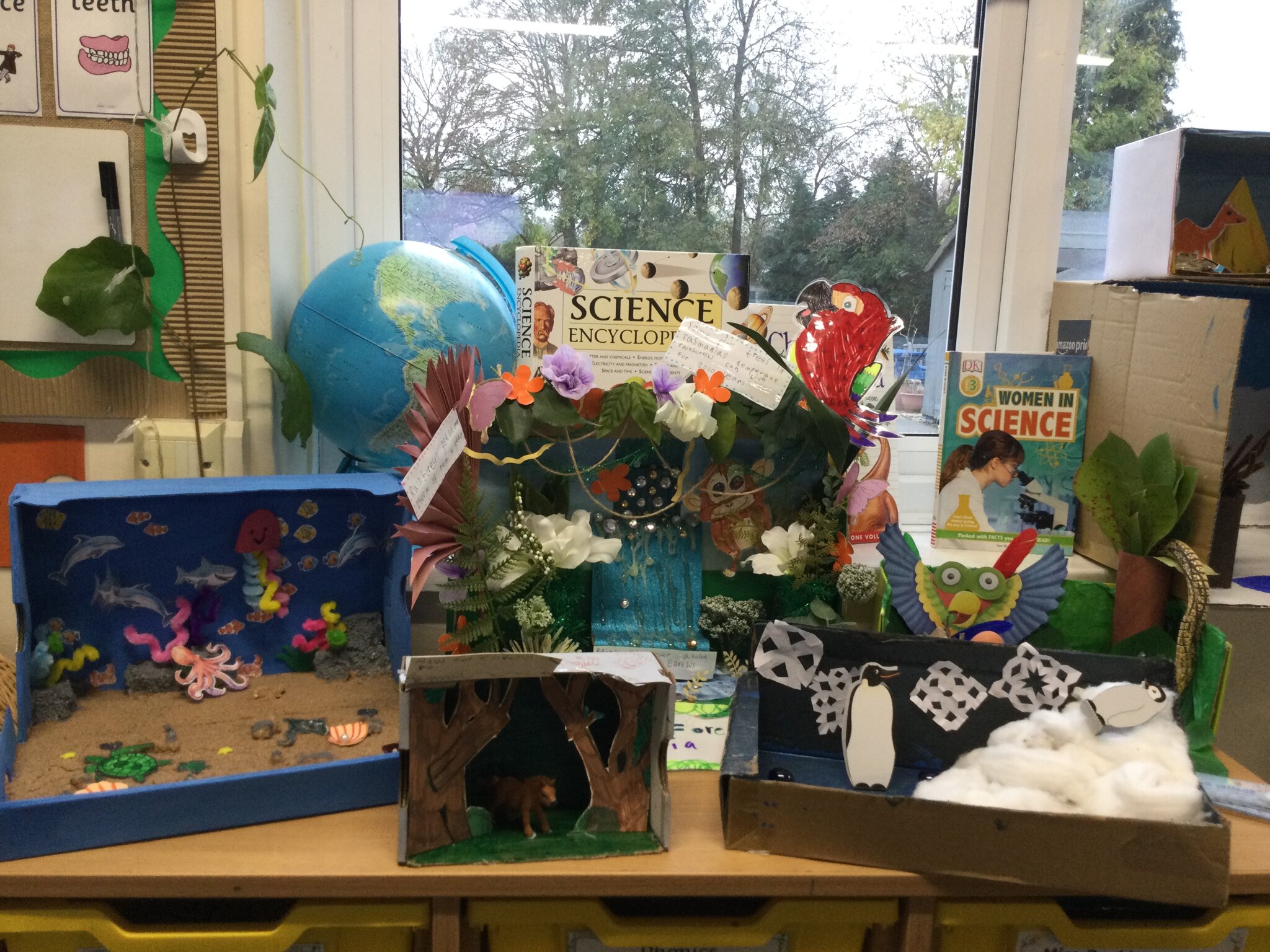 Image of Class 2’s incredible biomes!