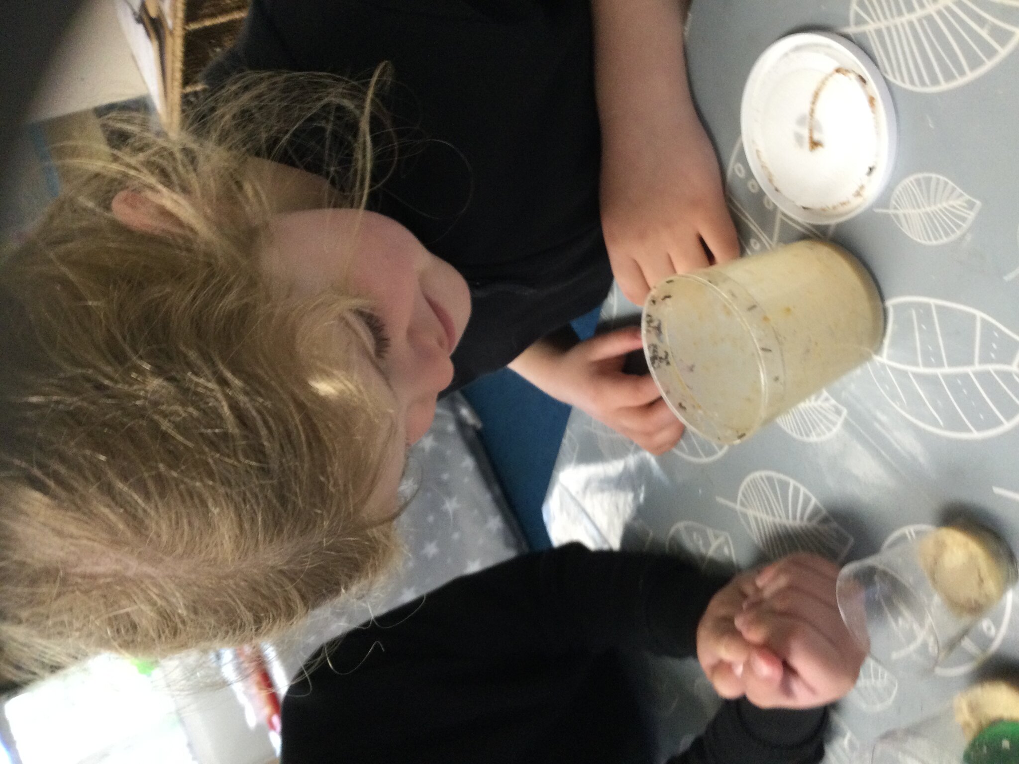 Image of We have caterpillars!