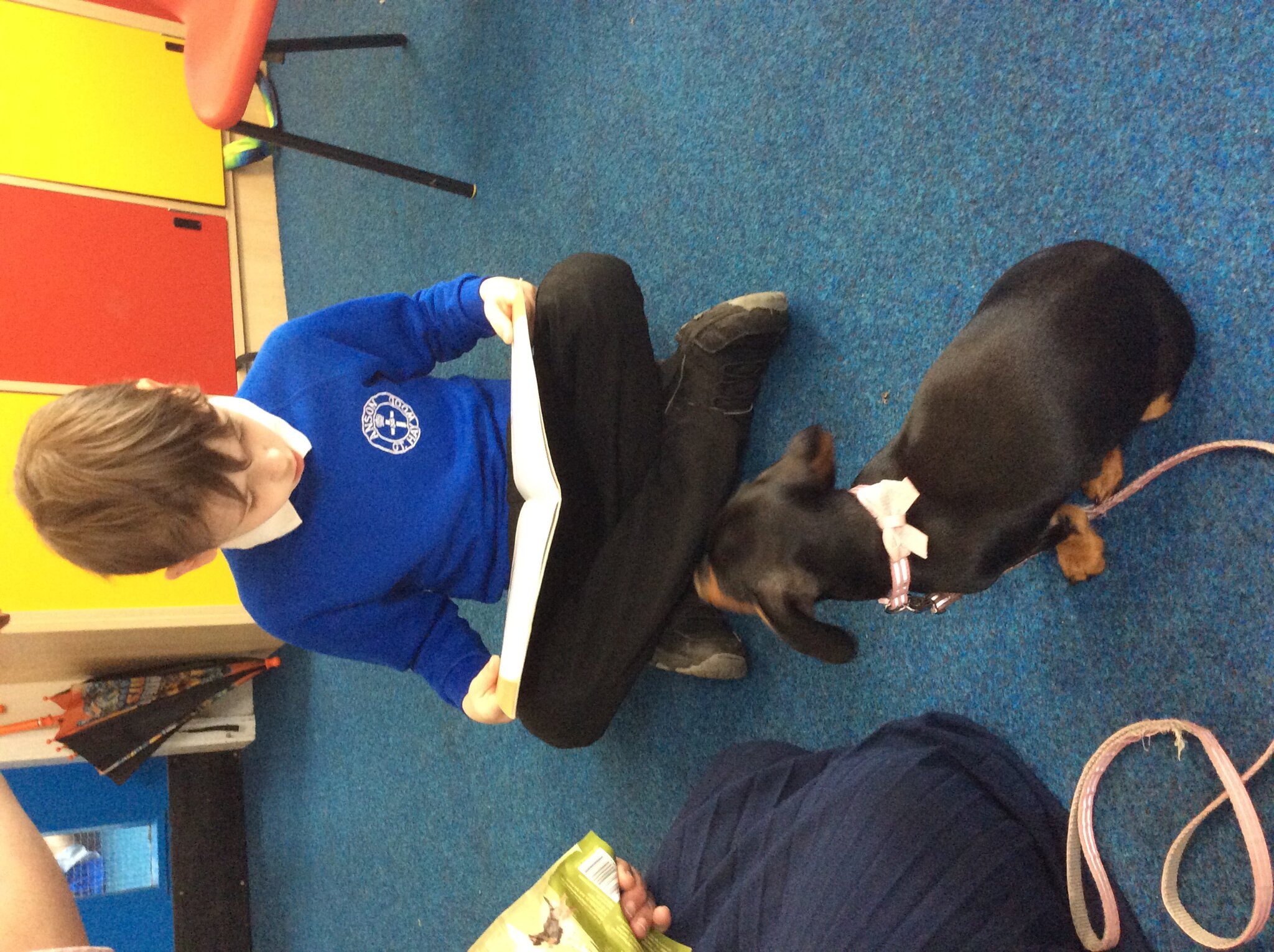 Image of Reading to Saffy Dog 