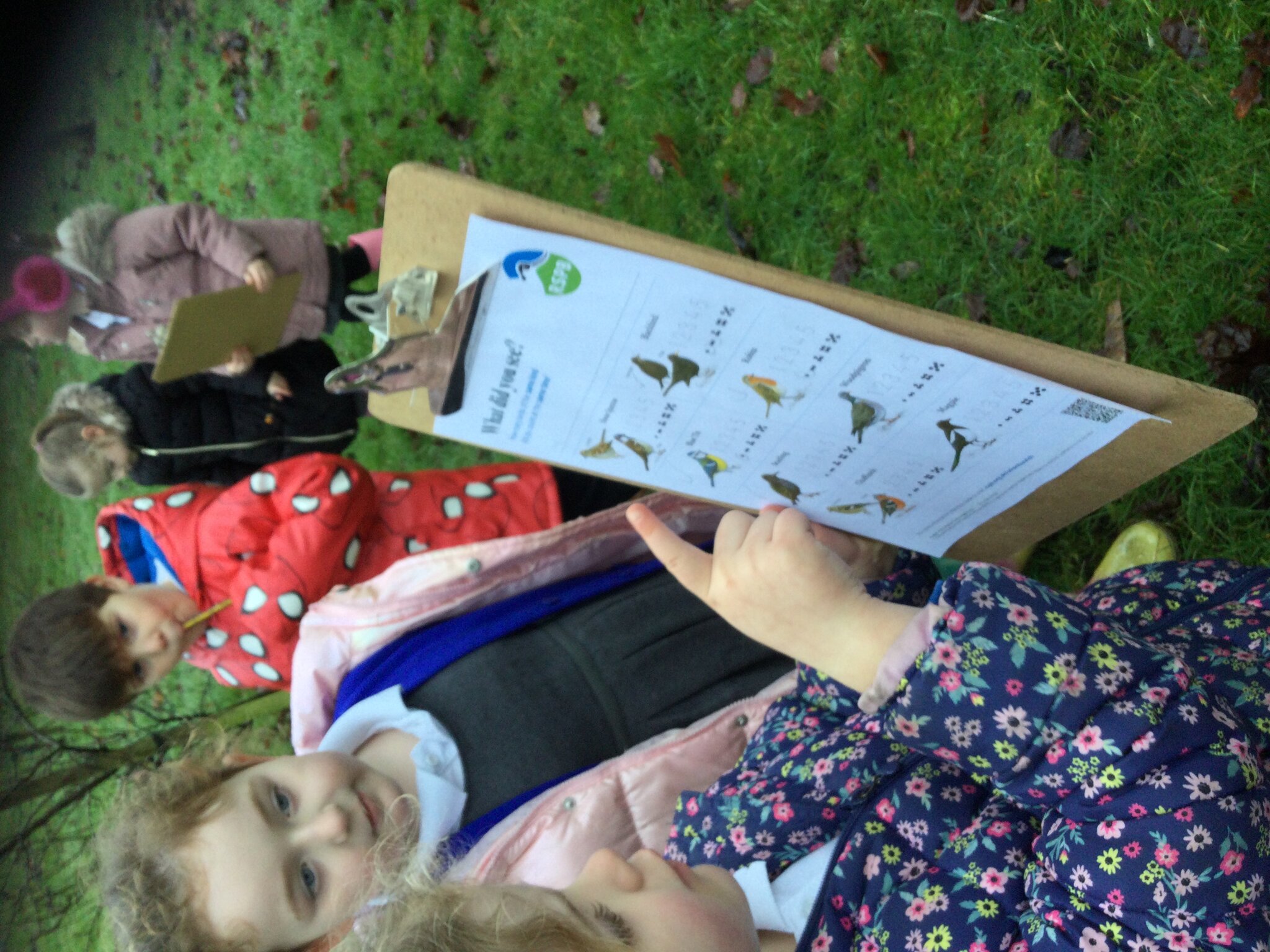 Image of Our Big Birdwatch