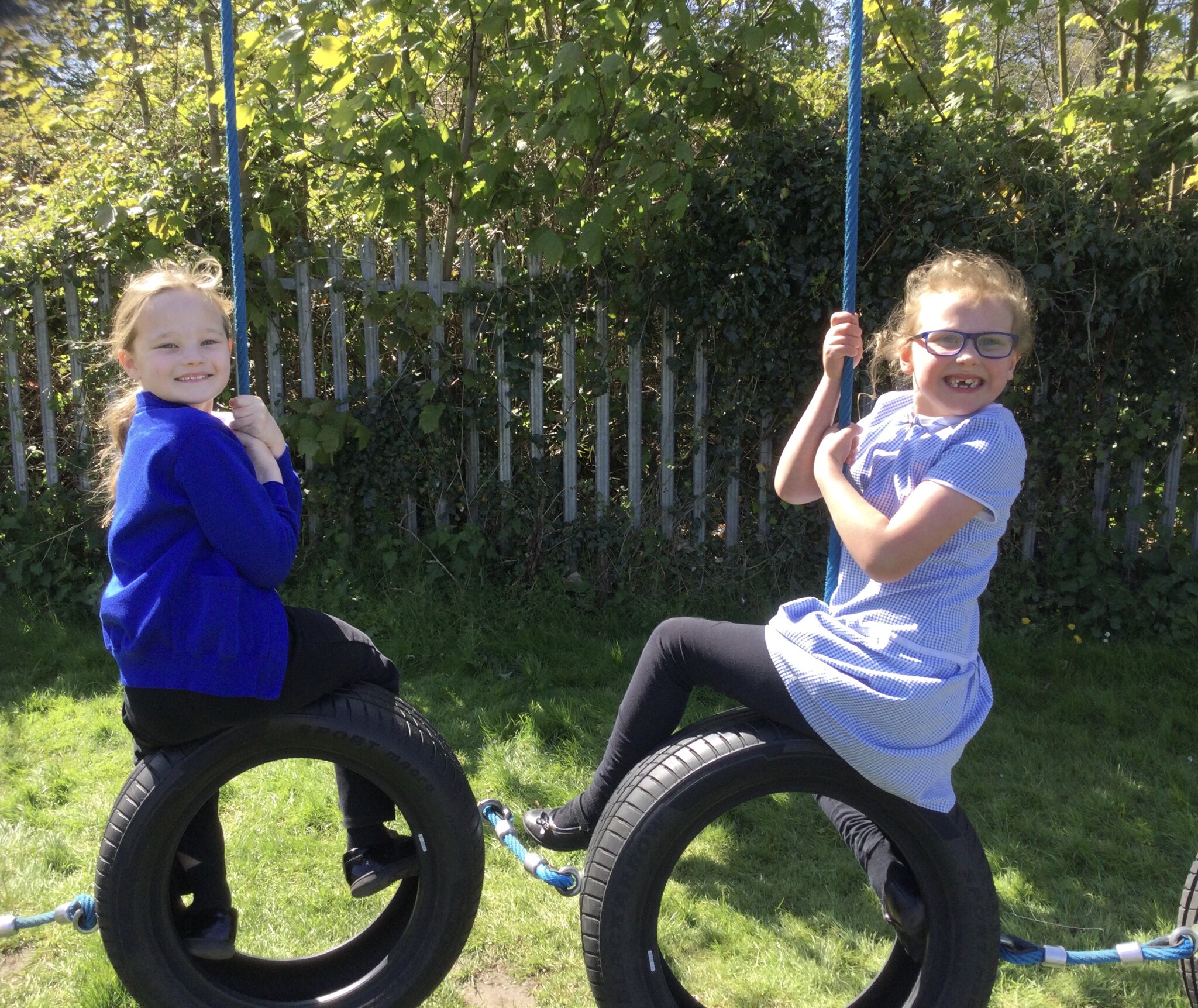 Image of Enjoying the sunshine 