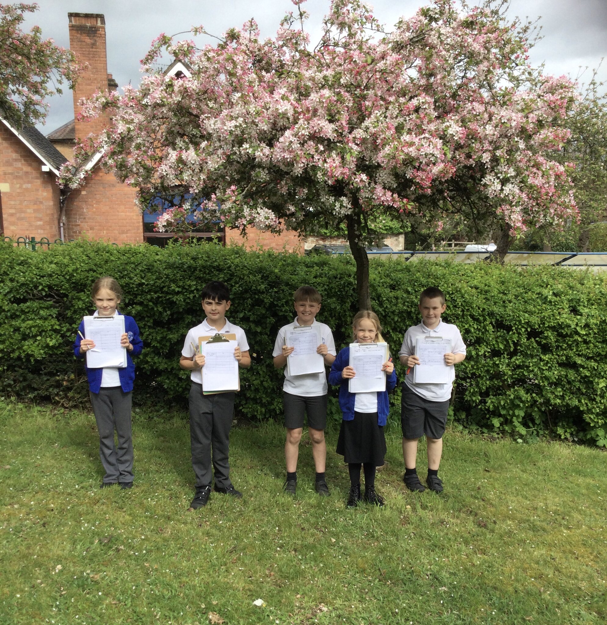 Image of Traffic survey 