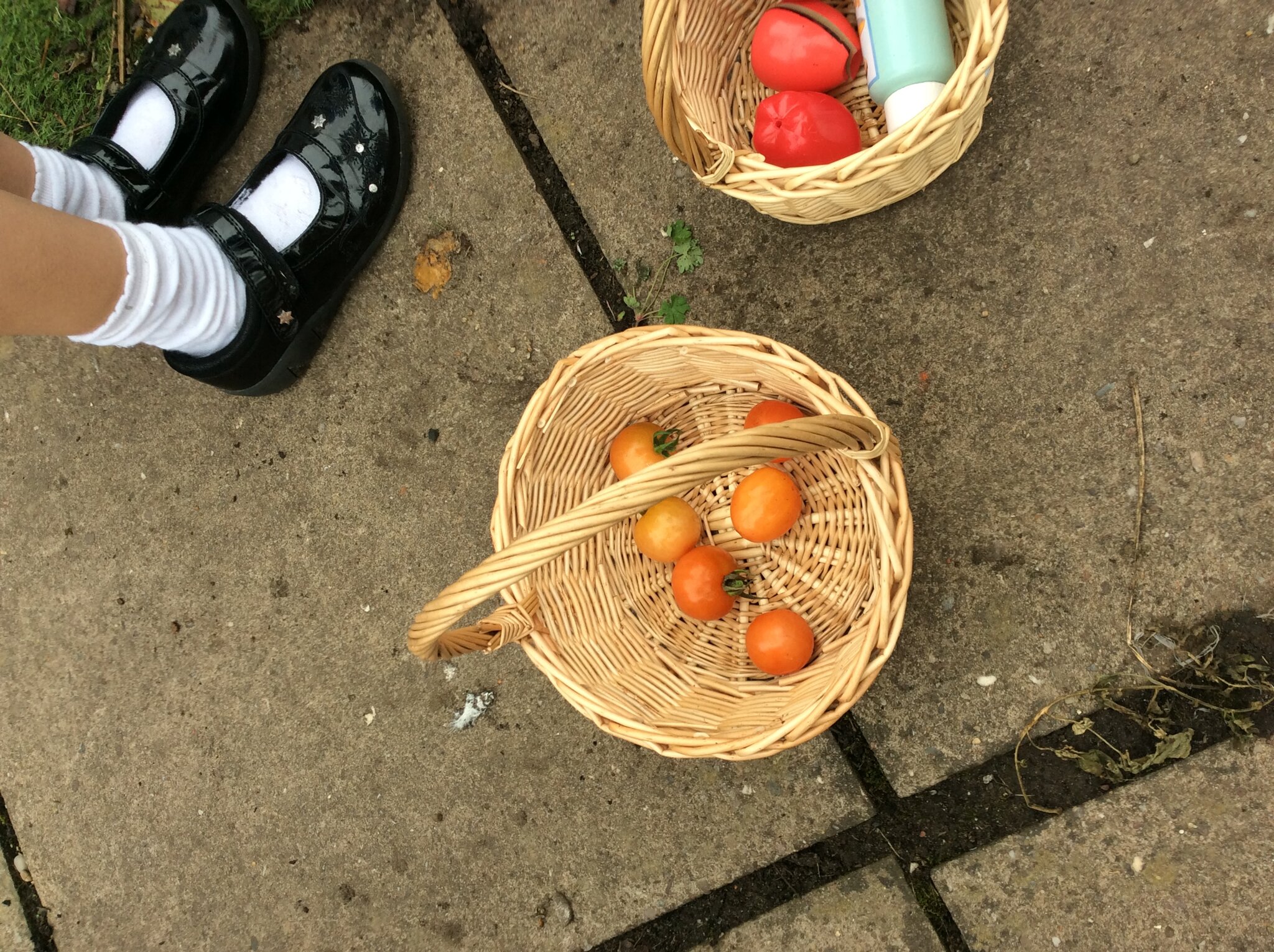 Image of Preparing the garden for winter