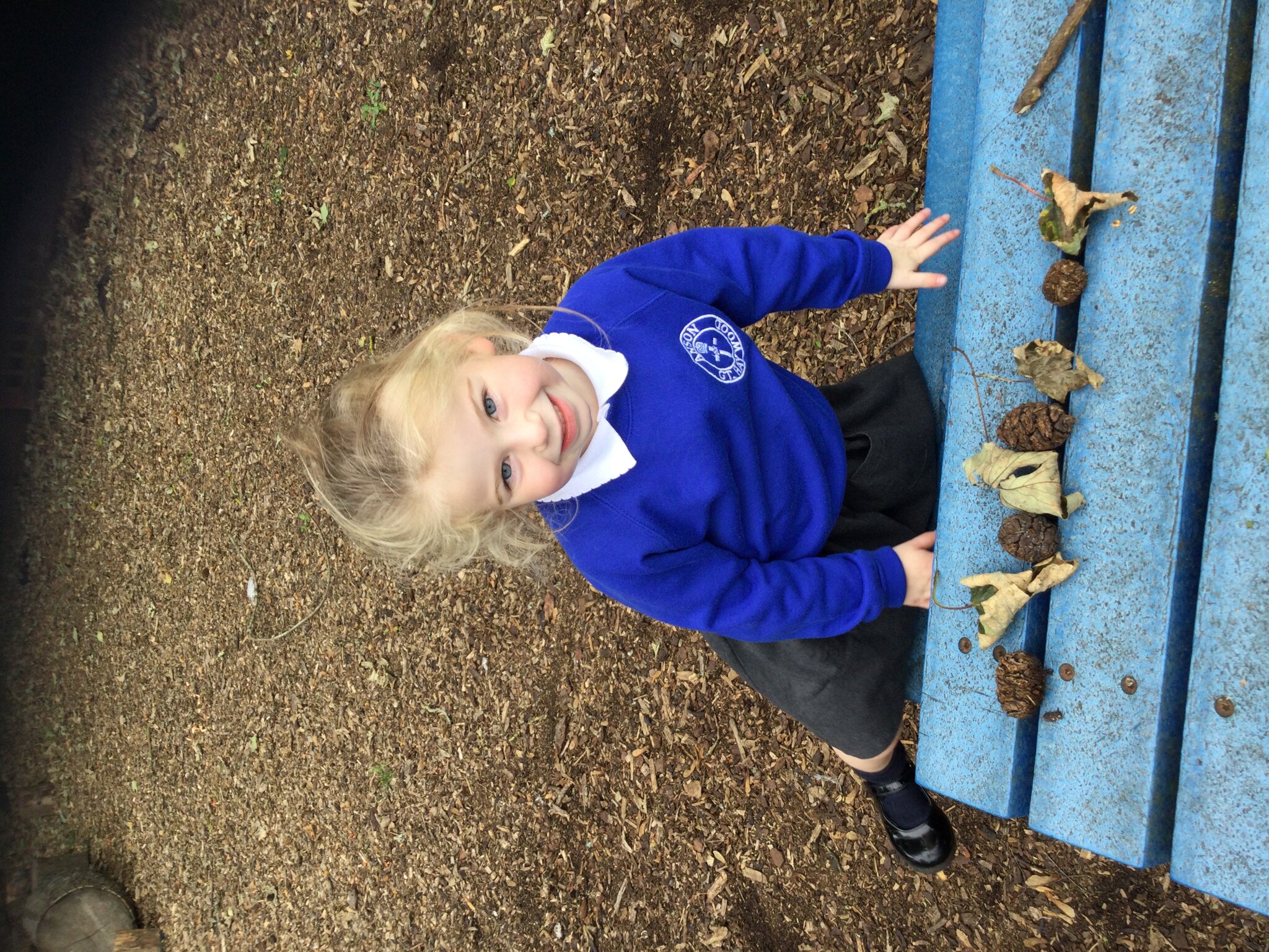 Image of Look at our amazing natural patterns!