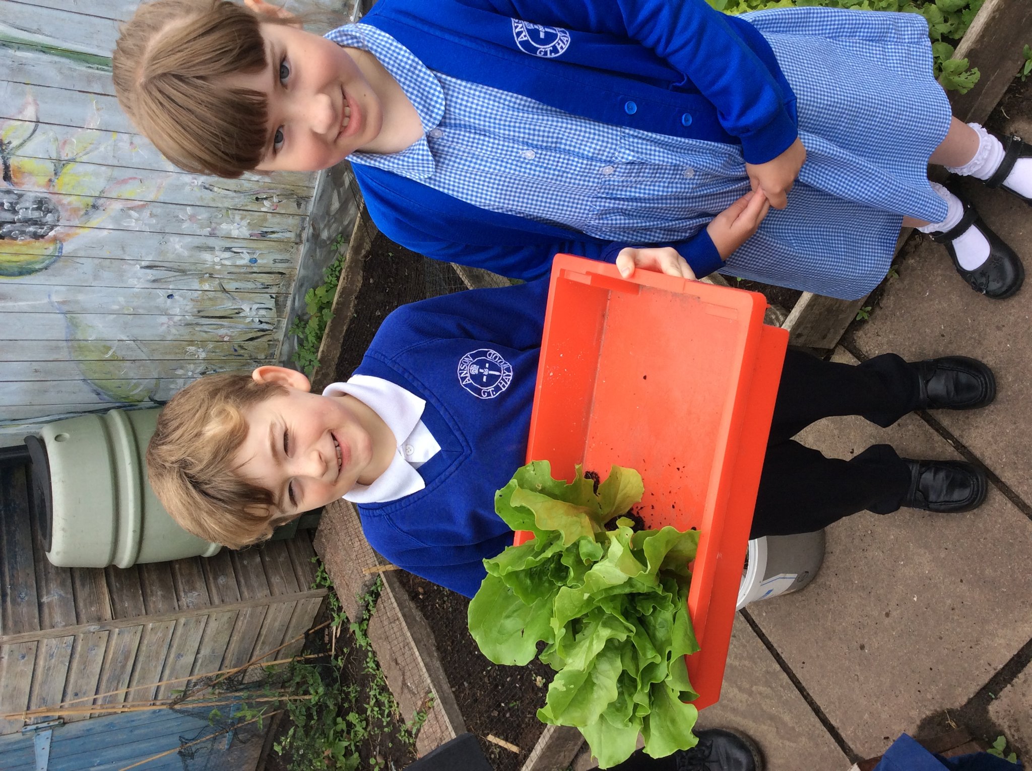 Image of Terrific gardeners in Class 3