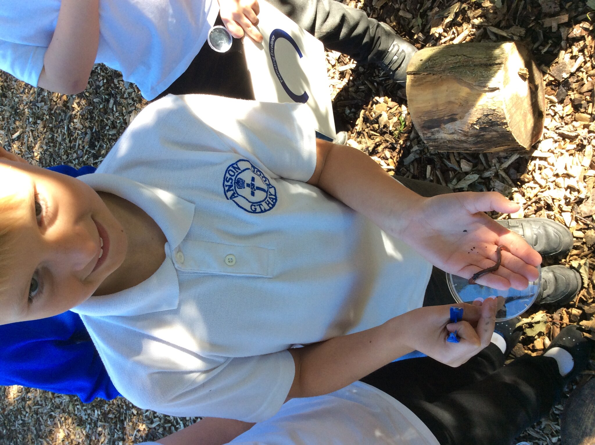 Image of Mini Beast Hunt in Science 