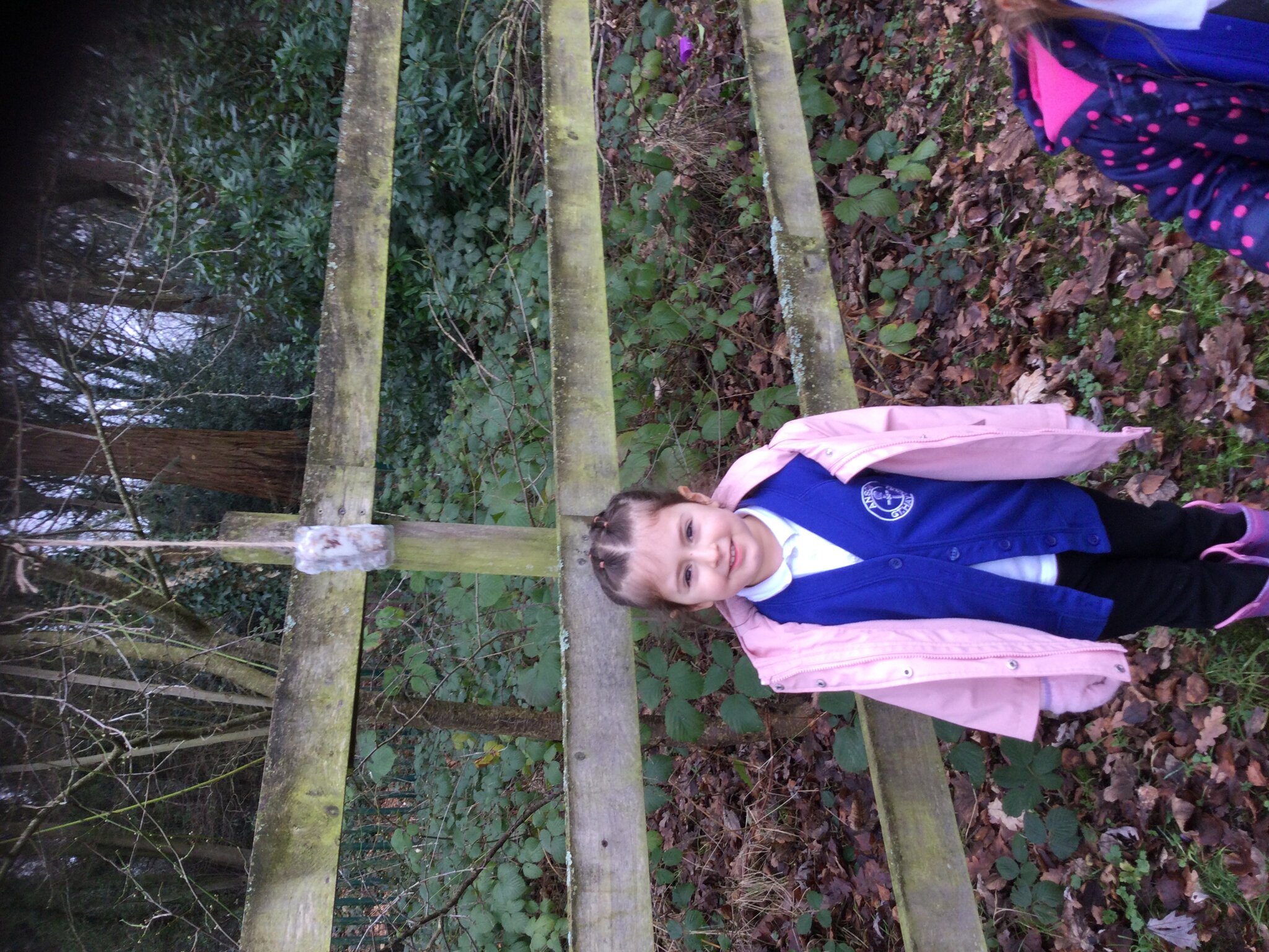 Image of Feeding the birds