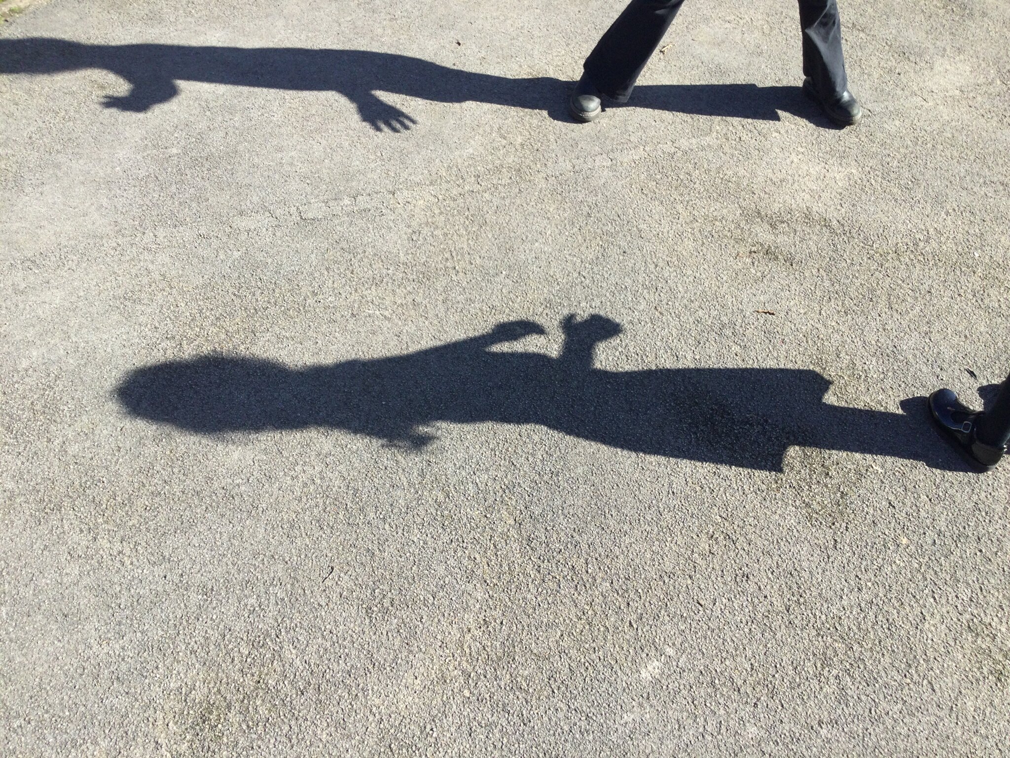 Image of Science - shadows 17.03.26