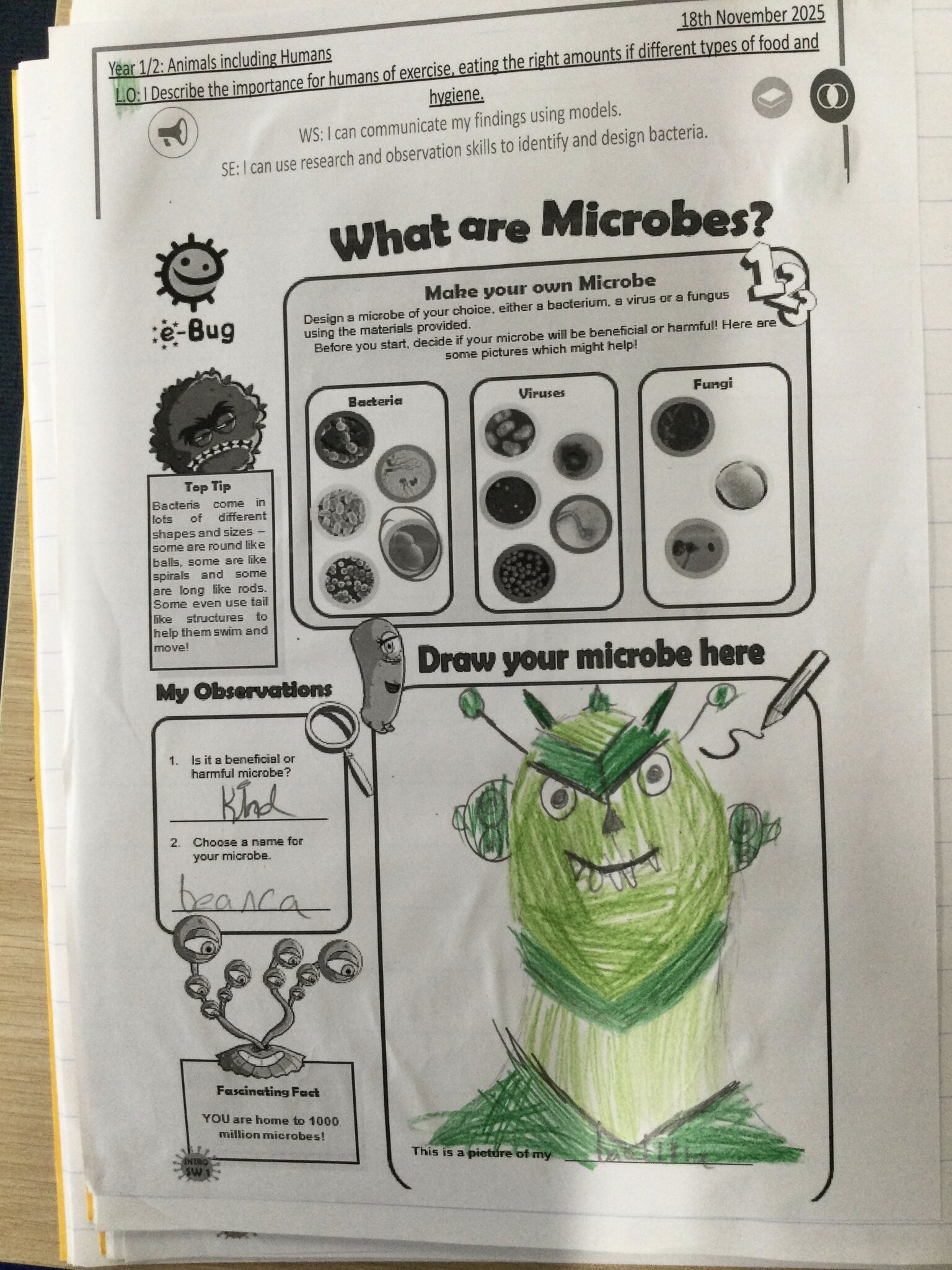 Image of Making microbes!