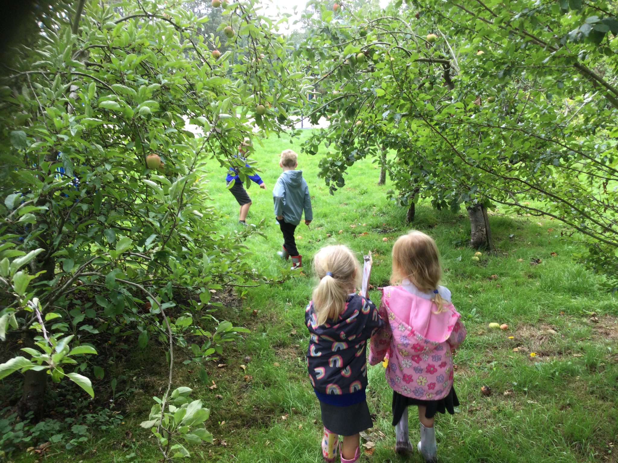 Image of An Autumn Exploration Walk!