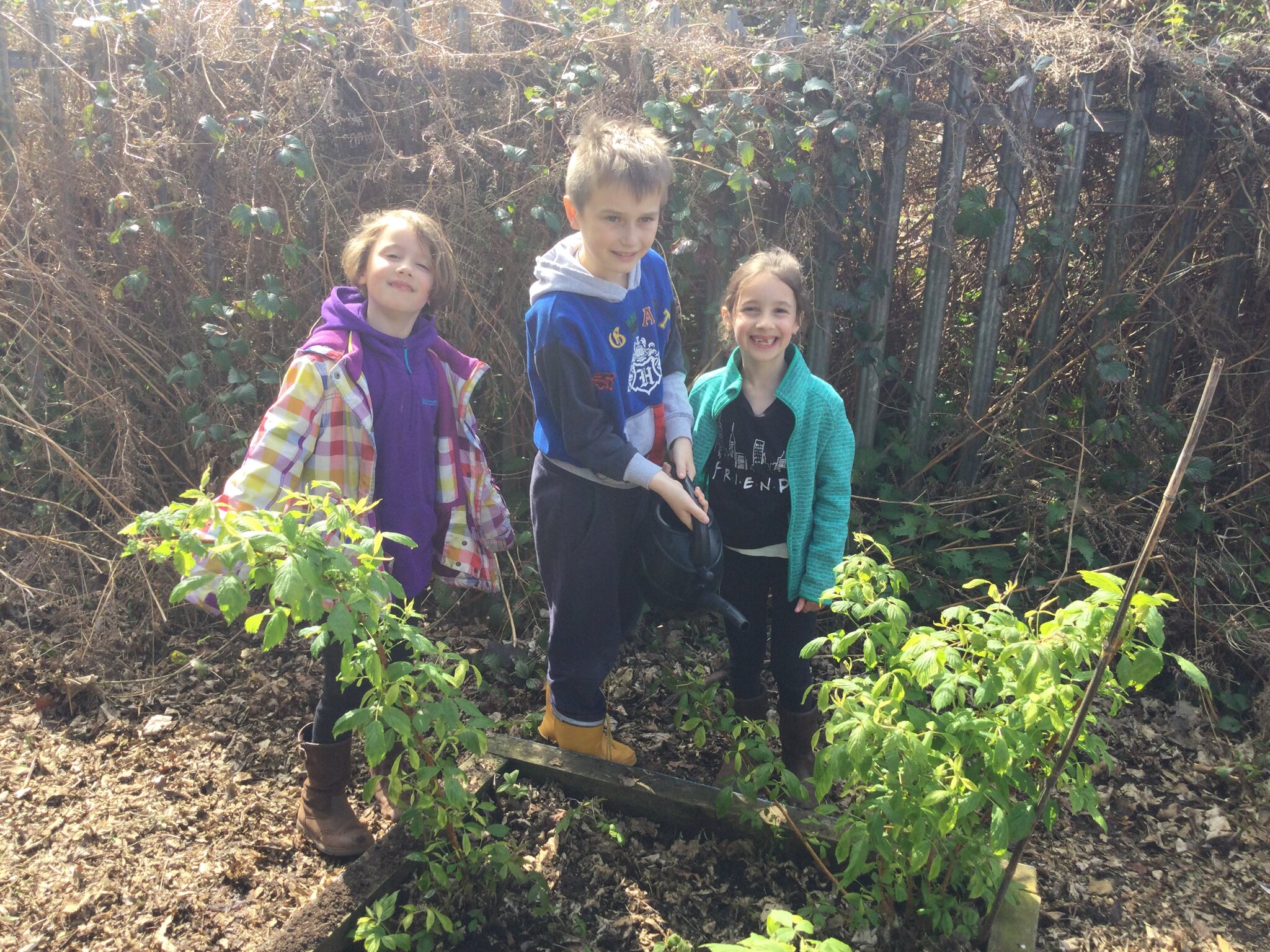 Image of Planting afternoon 