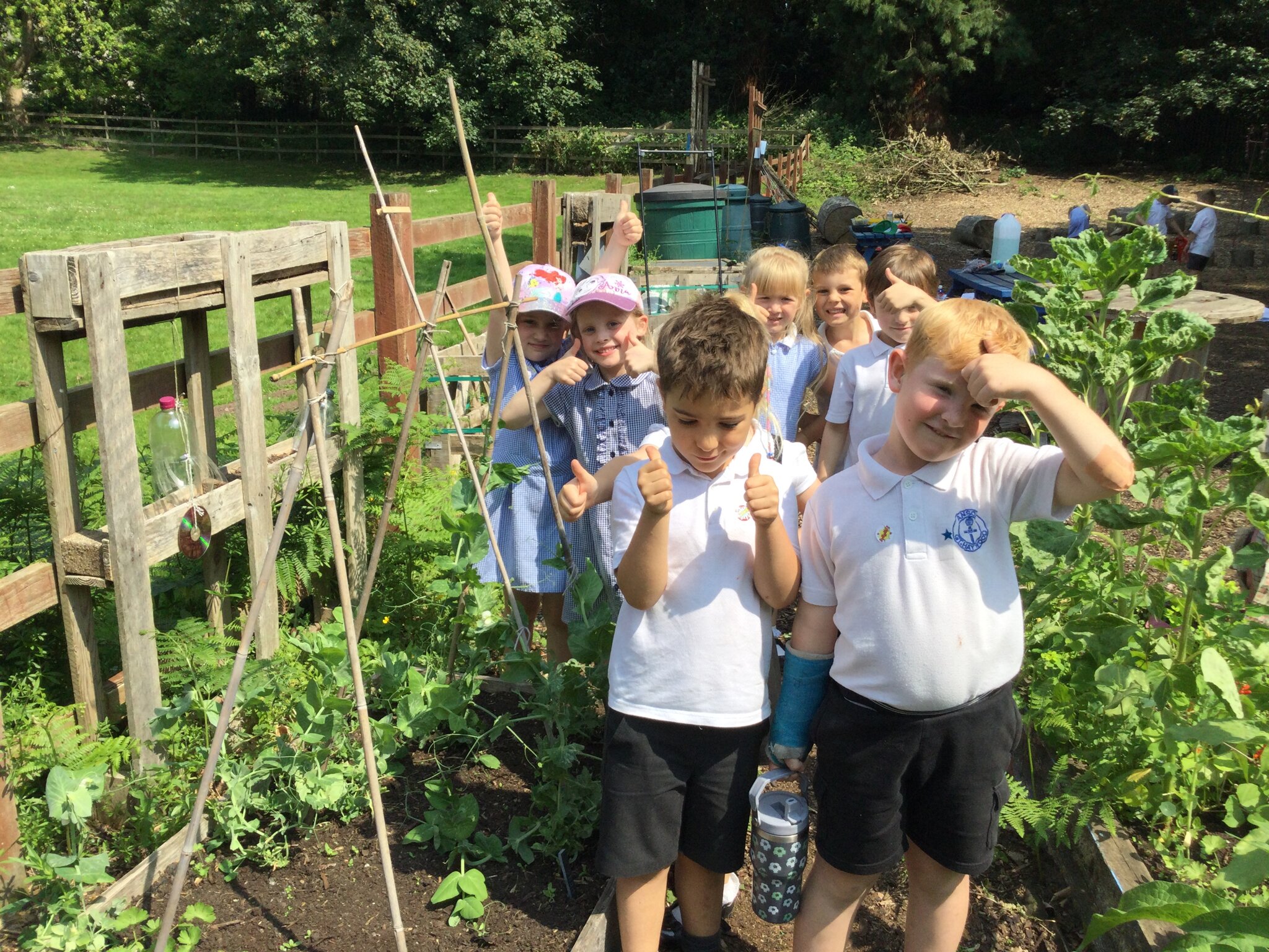 Image of Caring for our vegetable patch