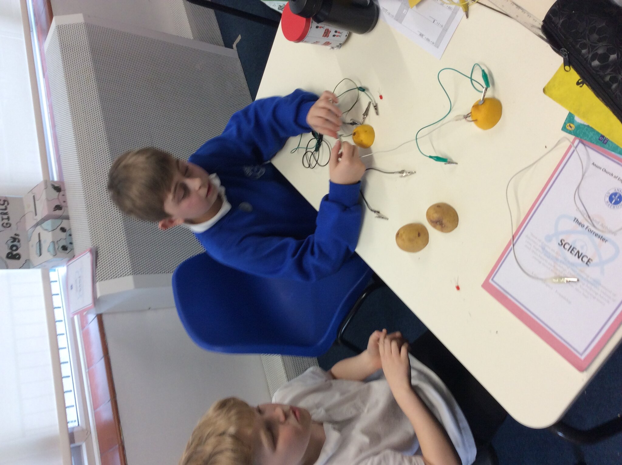 Image of Class 4 - fruit and vegetable circuits