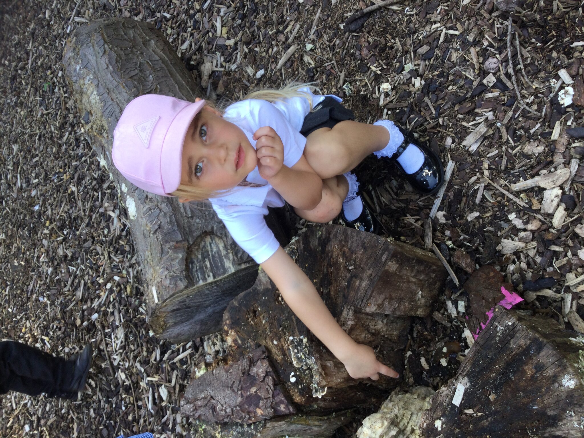 Image of Exploring the outdoor classroom