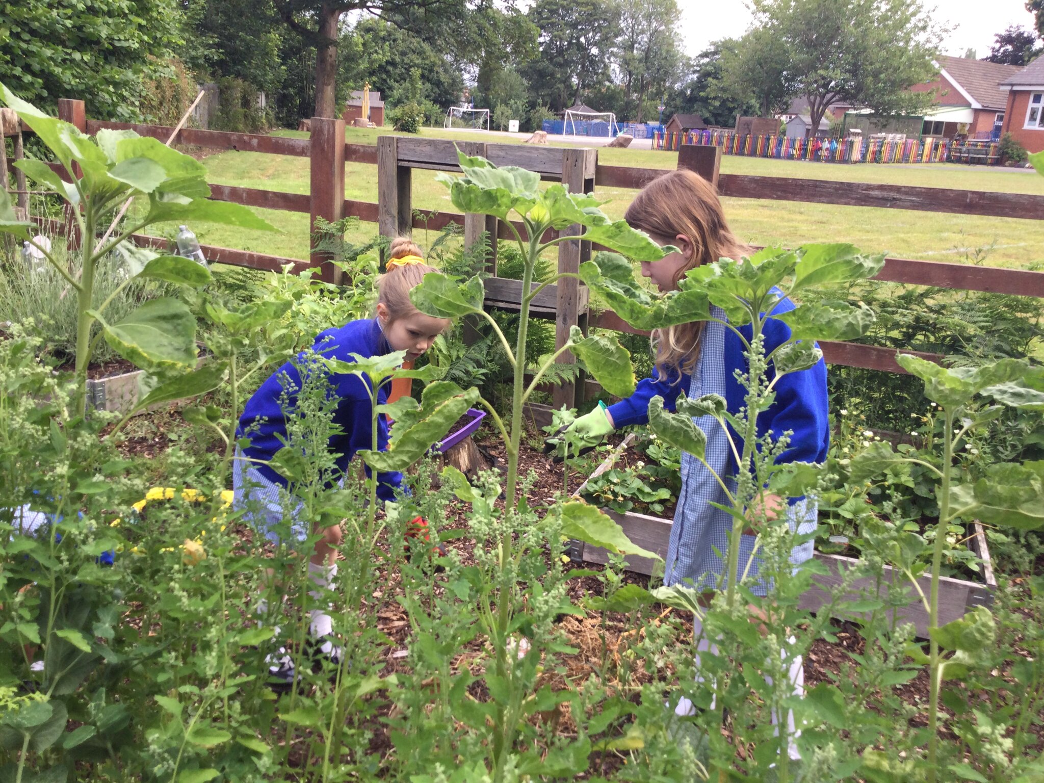 Image of Outdoor classroom on a … Friday!