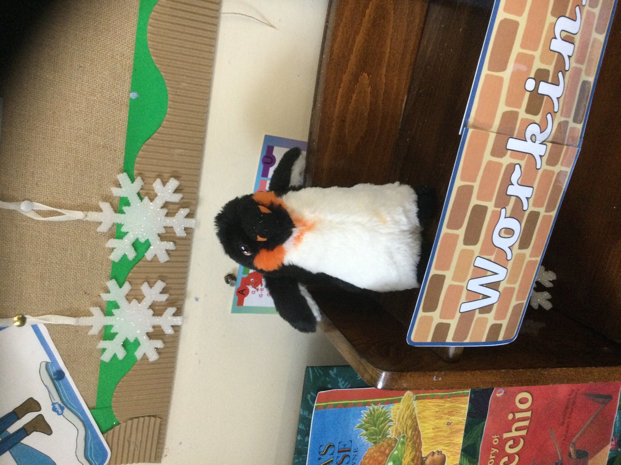 Image of Missing Penguin!