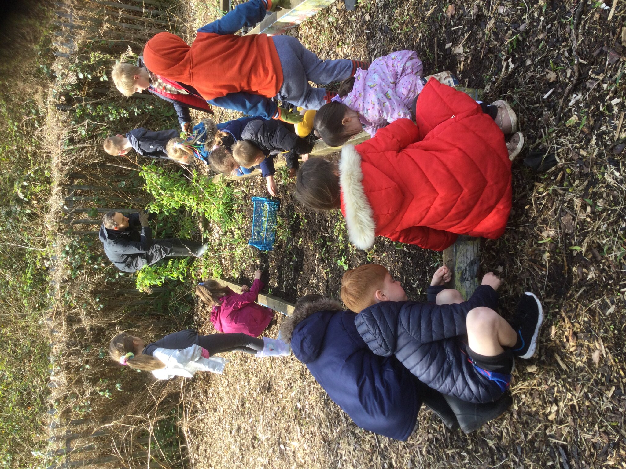 Image of Gardening afternoon with Class 1