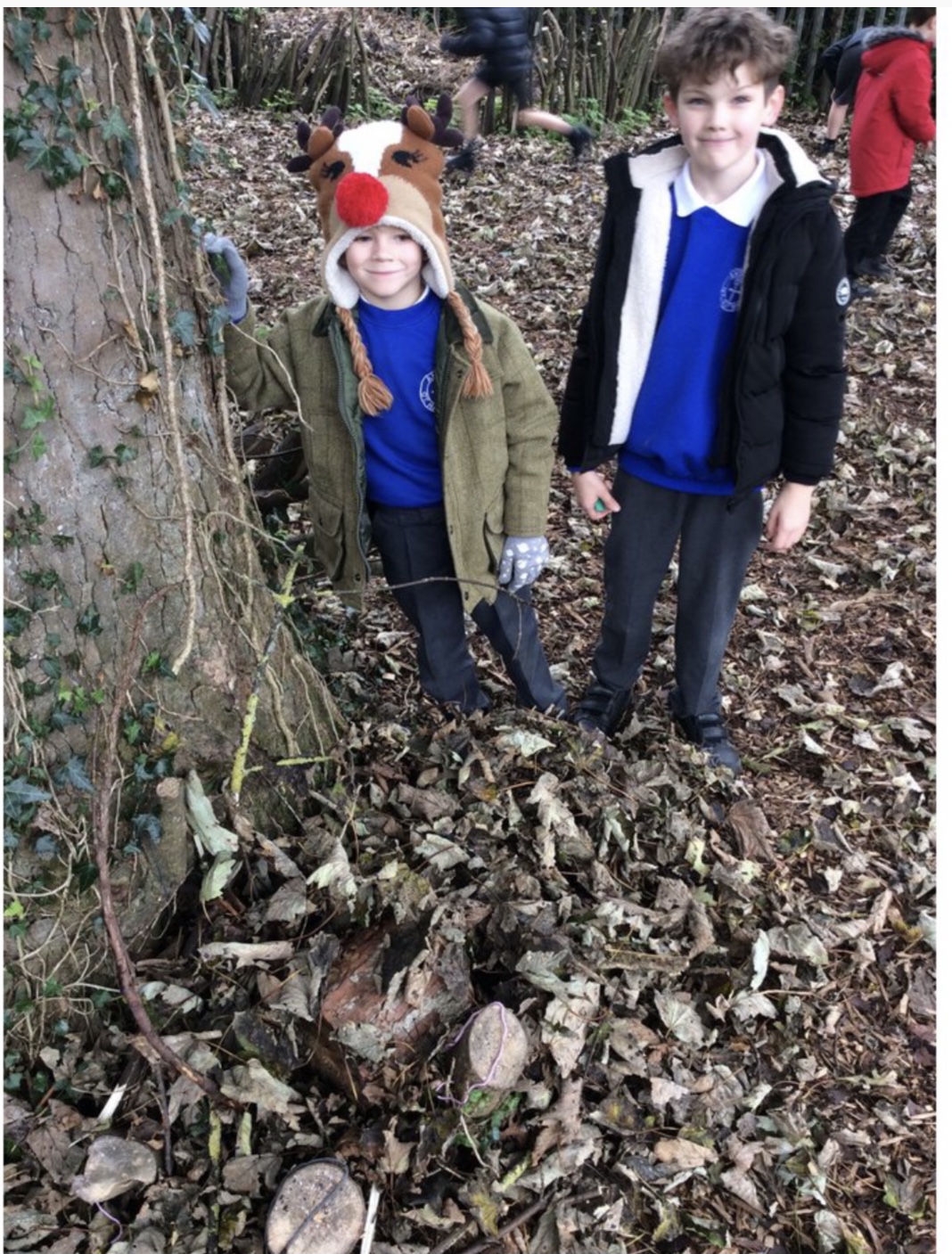 Image of Building Hedgehog Homes