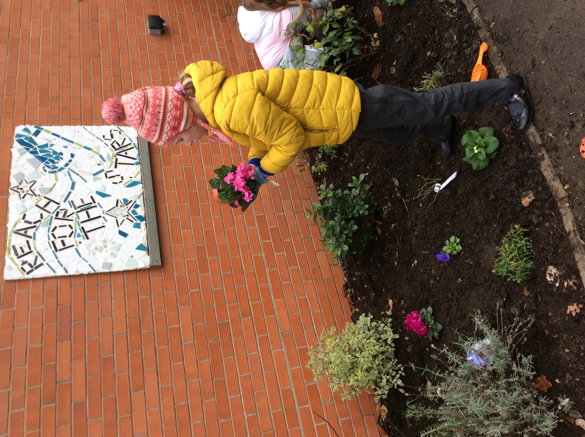 Image of Planting in the Remembrance Garden