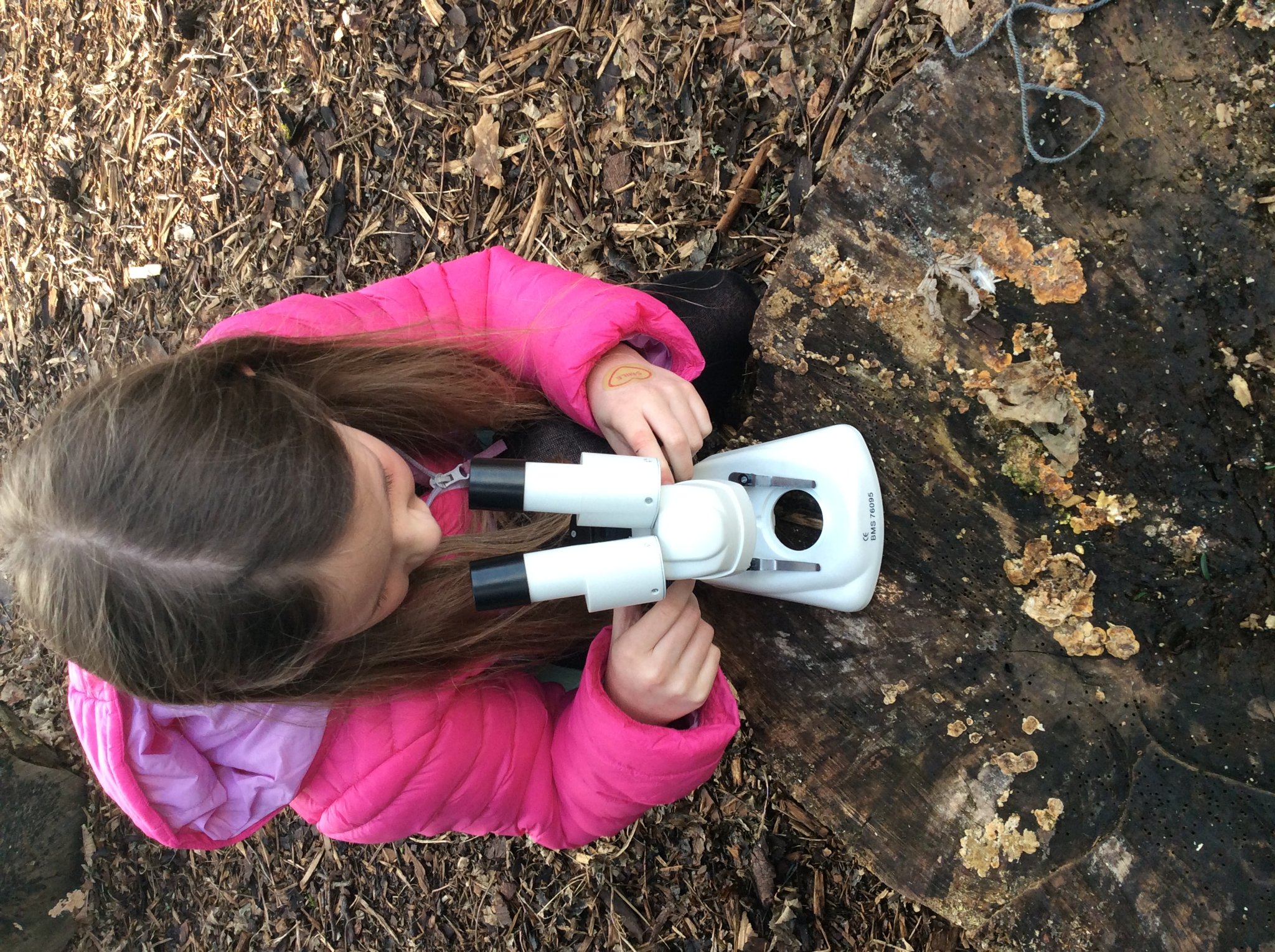 Image of Exploring with Microscopes 