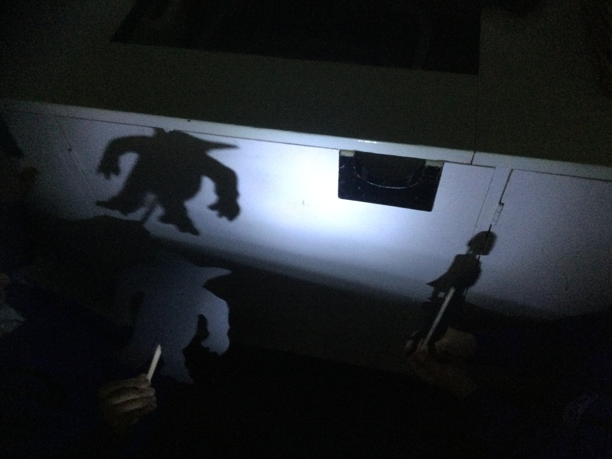 Image of Shadow puppets 