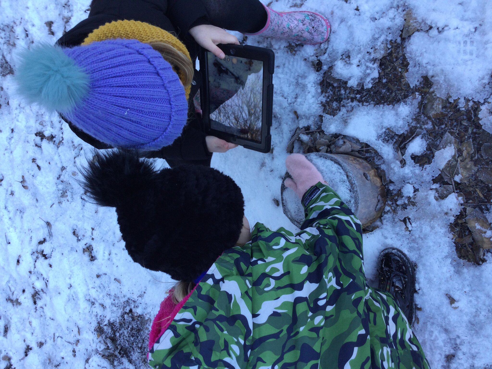 Image of Computing in the snow!