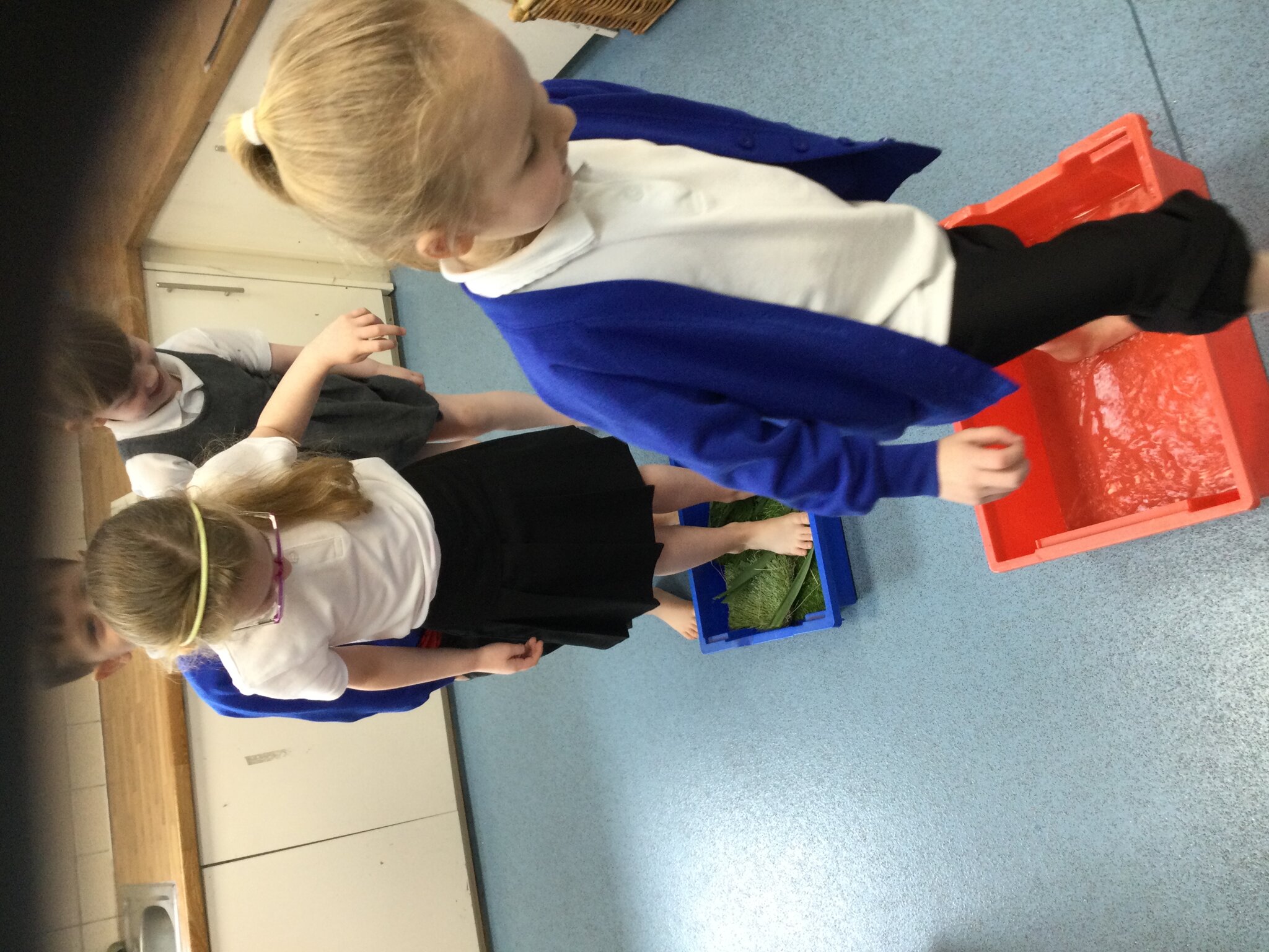 Image of We’re Going on a Bear Hunt