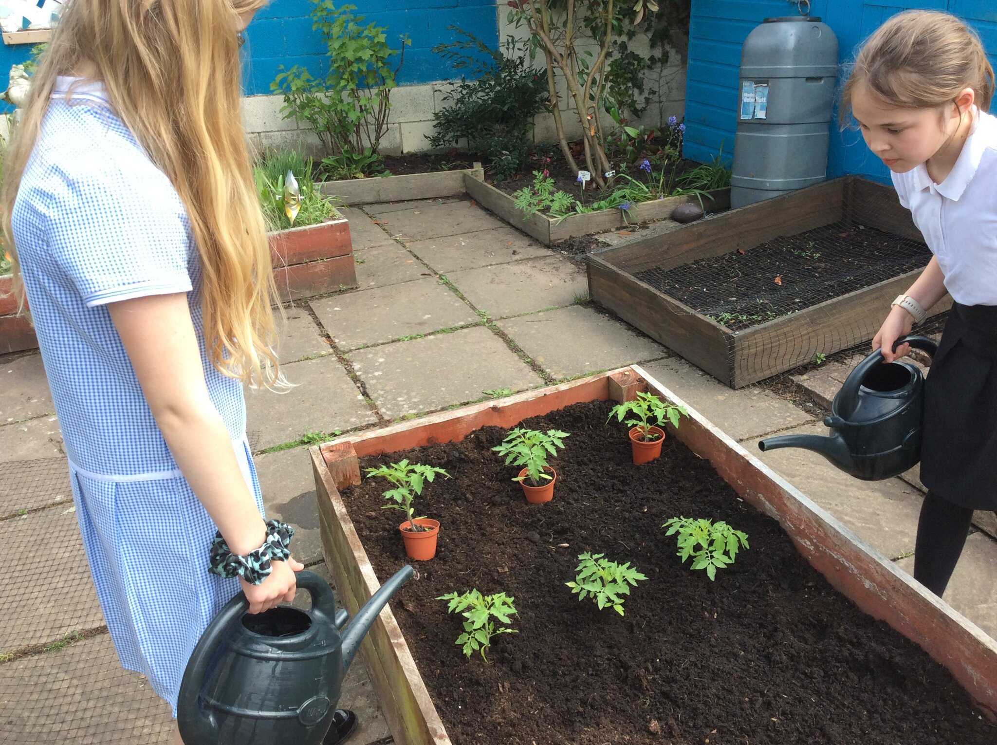 Image of Gardening 