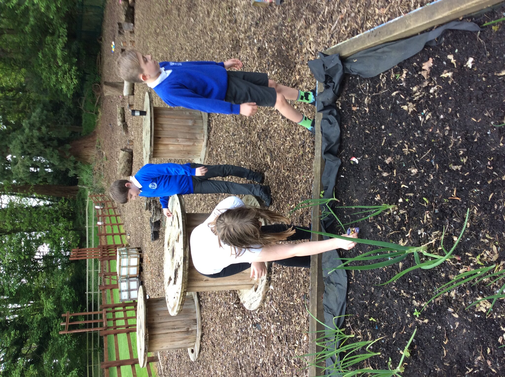 Image of Exploring the outdoor classroom 