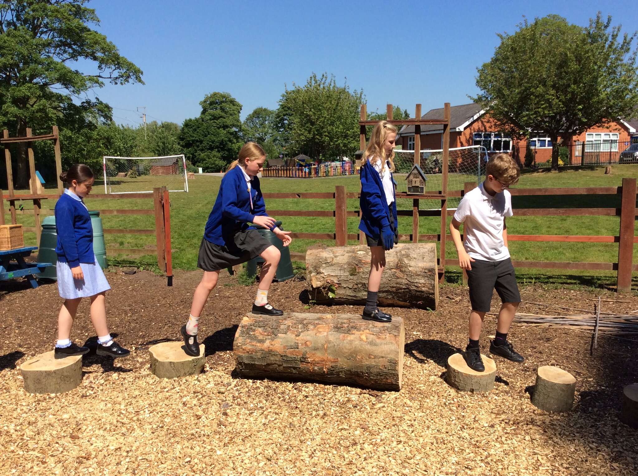 Image of Class 4 - Summer 1 - Fun in the sun