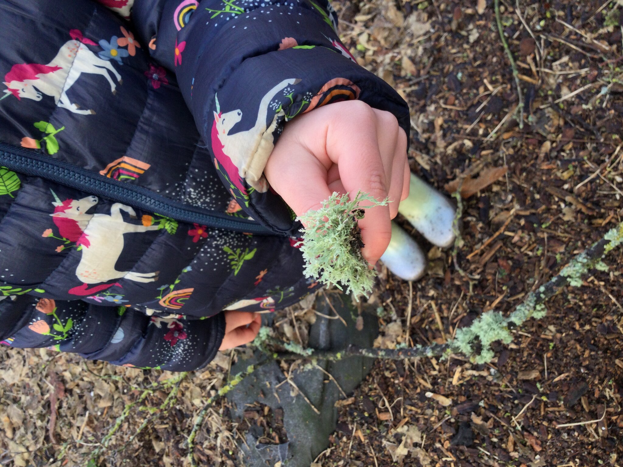 Image of Thursdays are for outdoor learning!