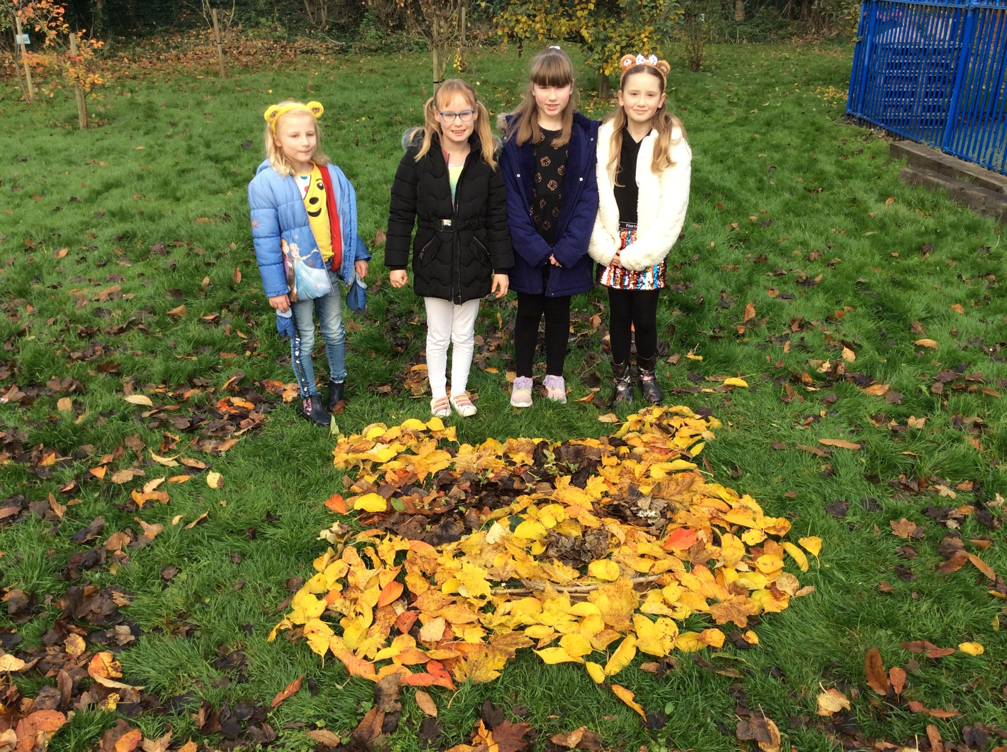 Image of Pudsey Bear Leaf Art