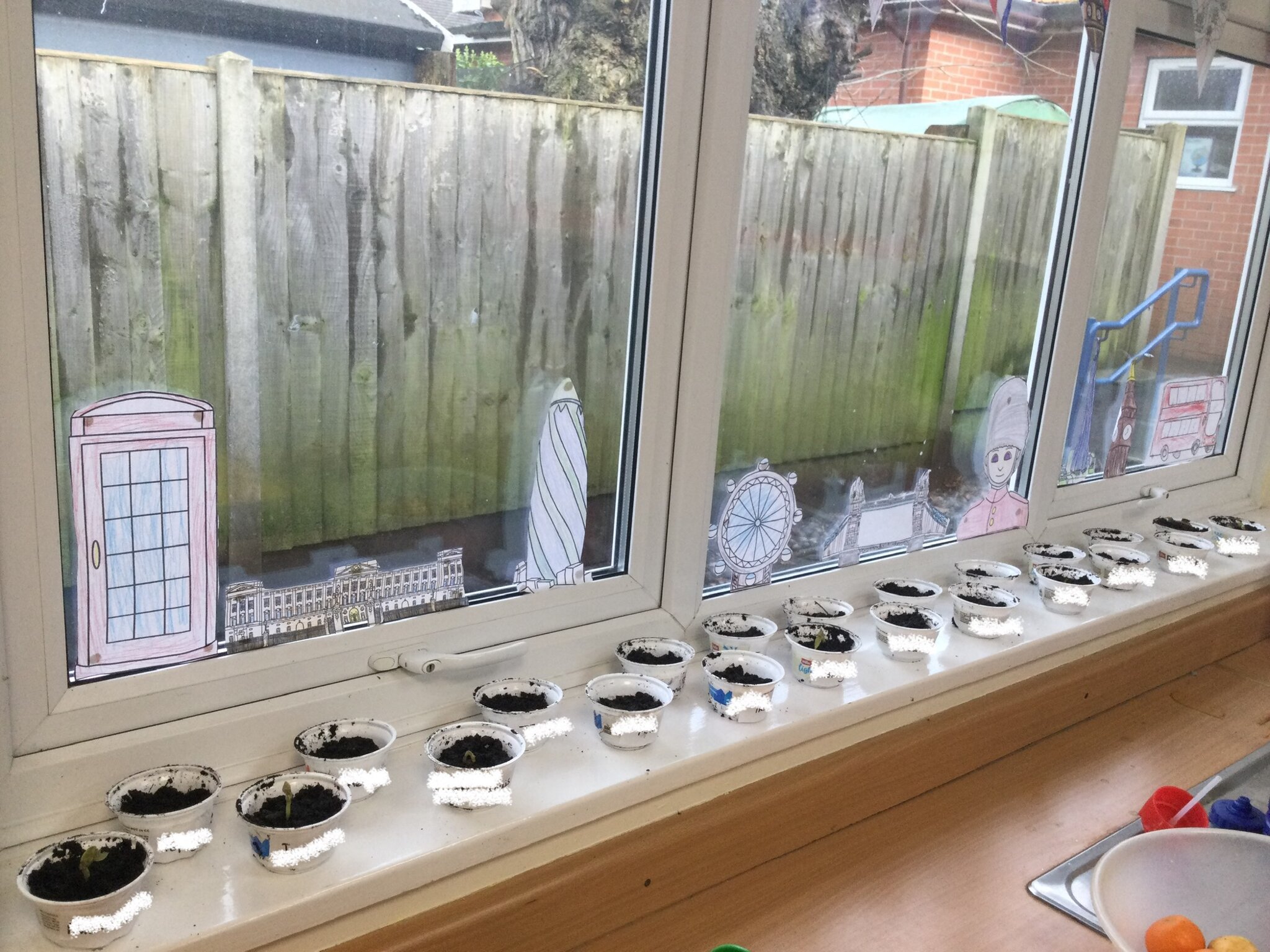 Image of Our bean journey continues…