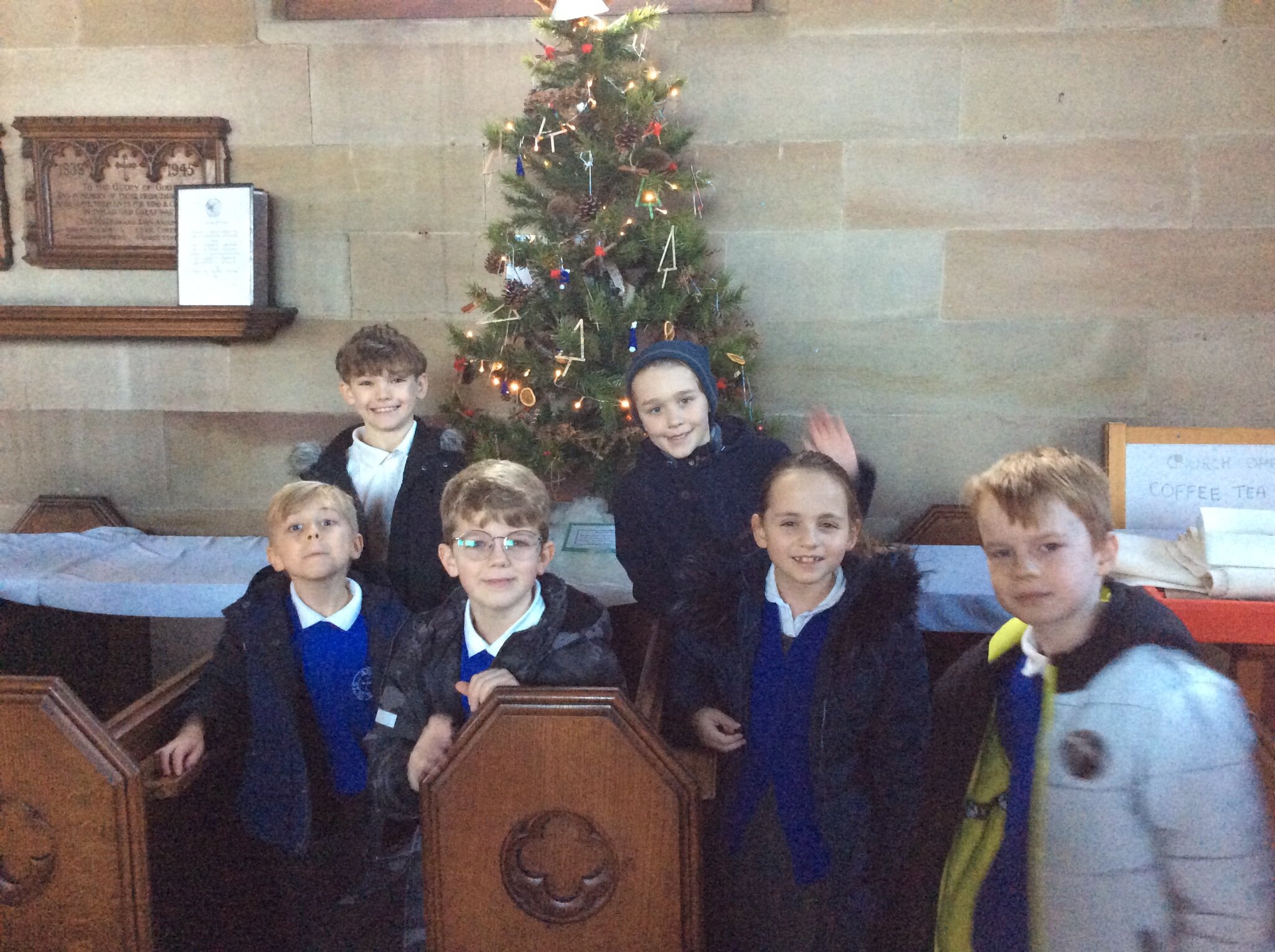 Image of Christmas Tree Festival