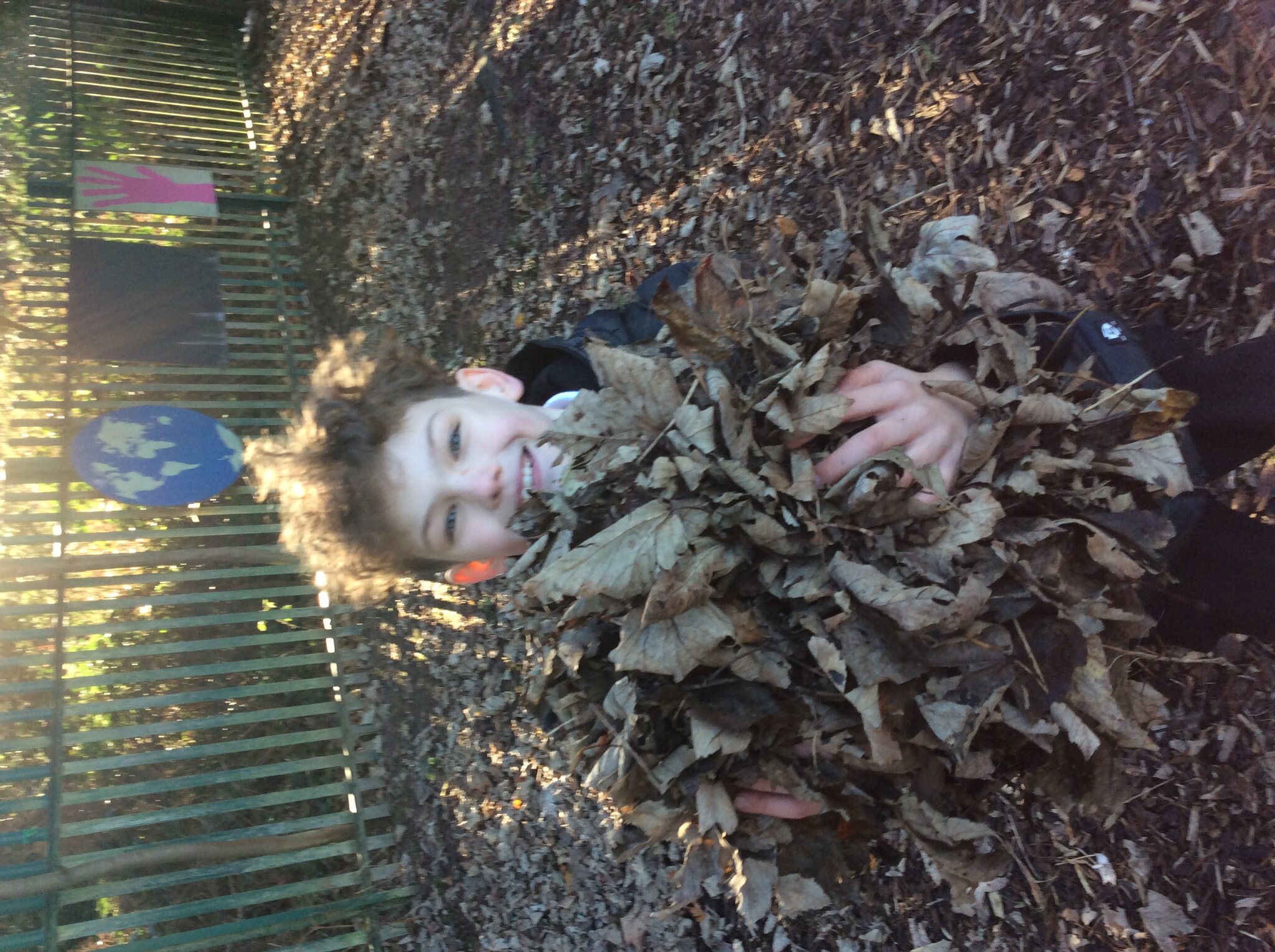 Image of Tidy Up Afternoon