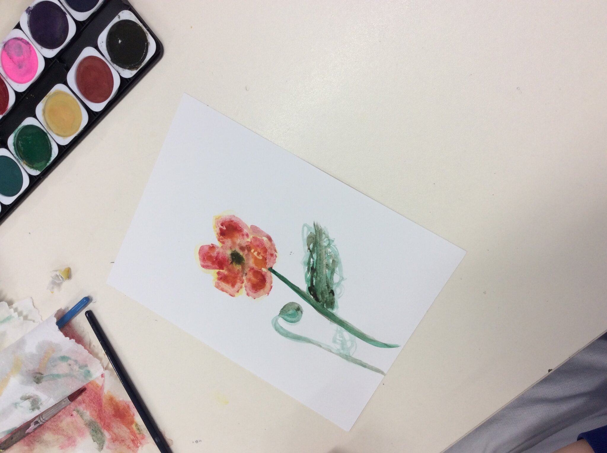 Image of Watercolour poppy painting 