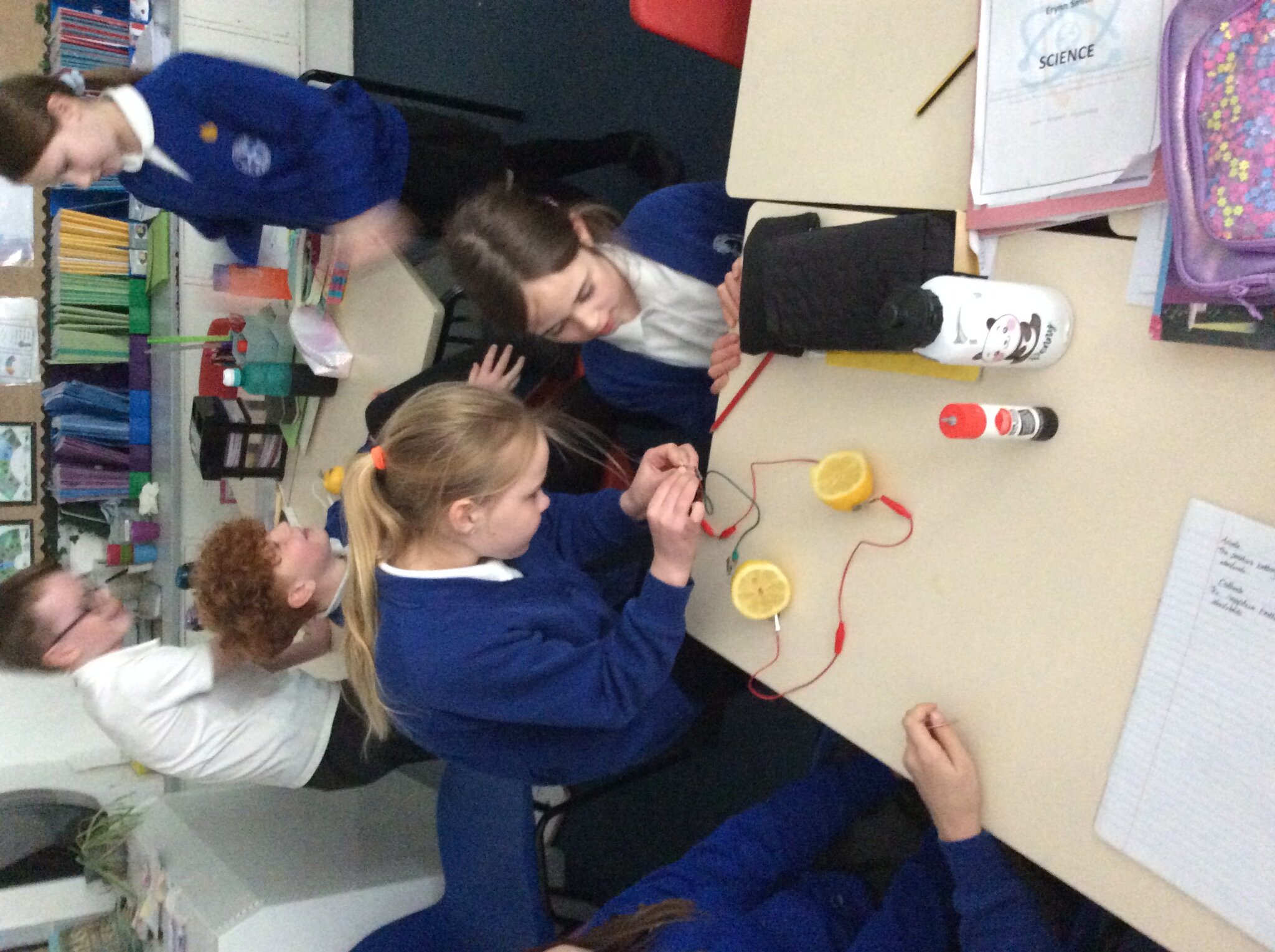 Image of Class 4 Lemon Power 2026