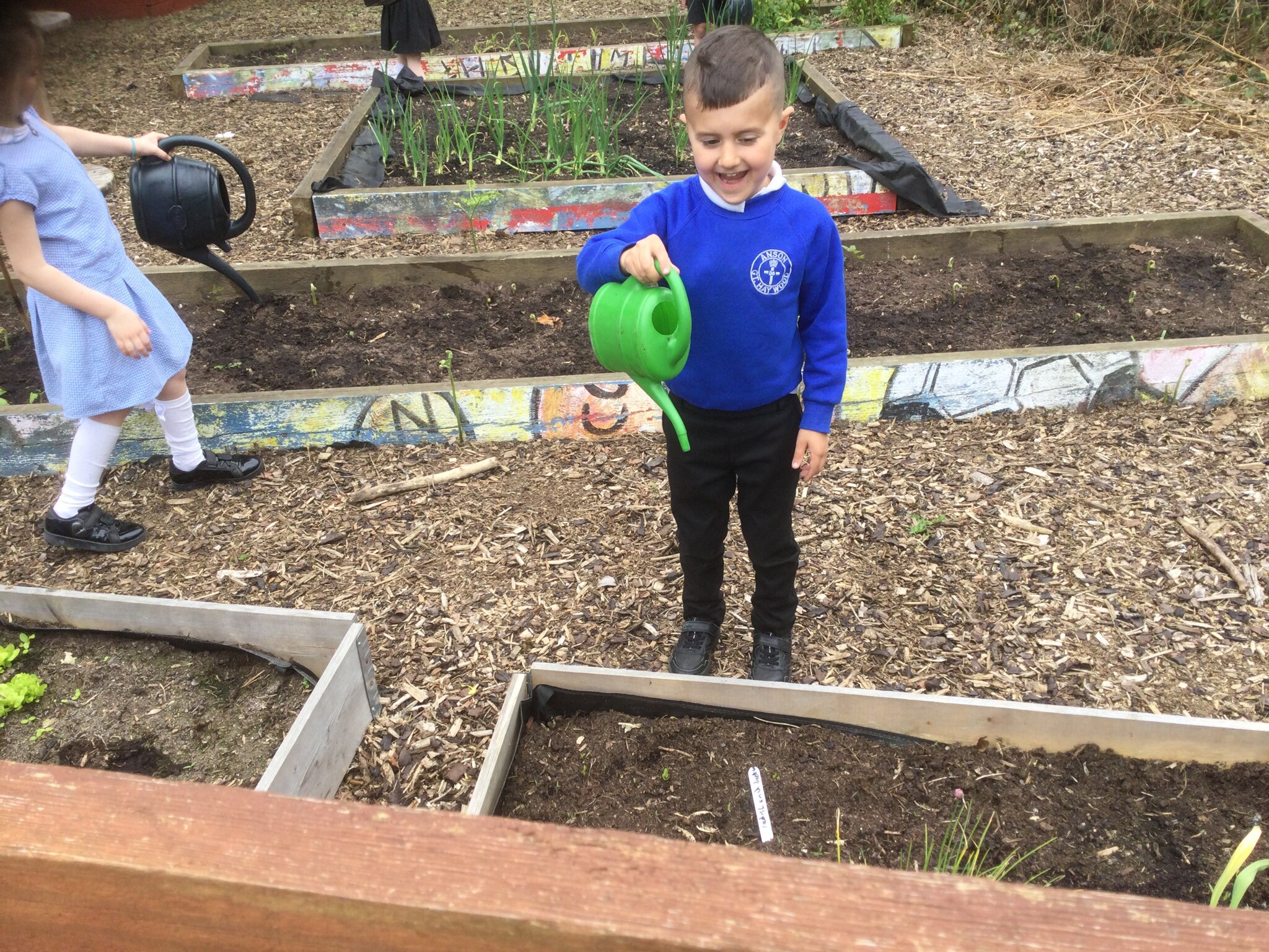 Image of Taking care of the outdoor classroom 