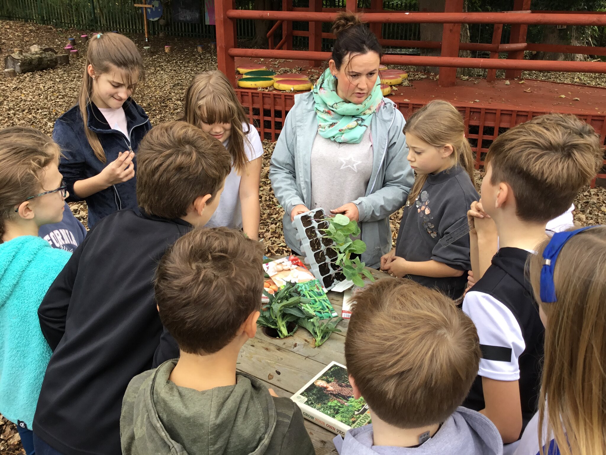 Image of Fun in the outdoor classroom!