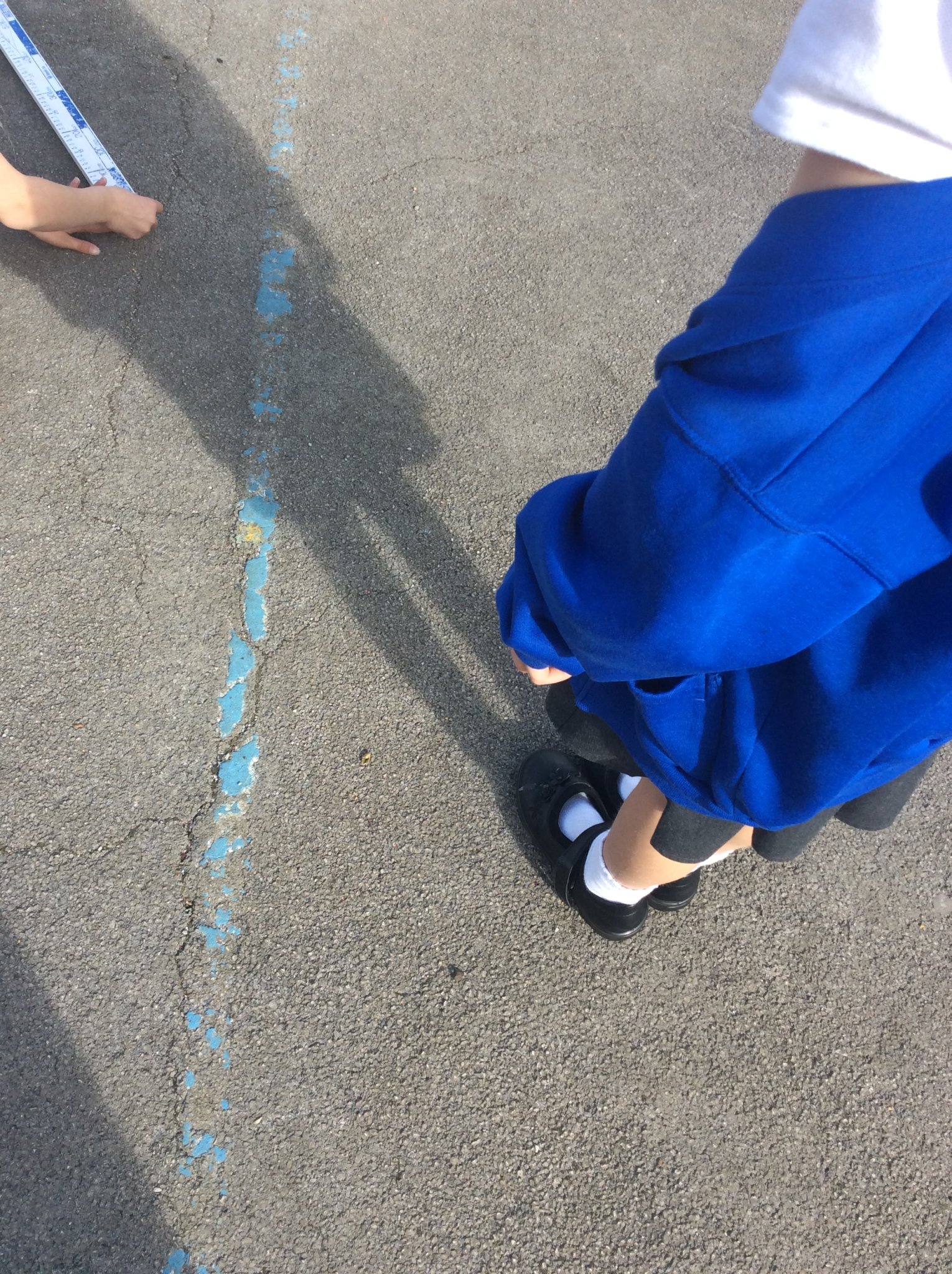Image of Shadow Investigating 