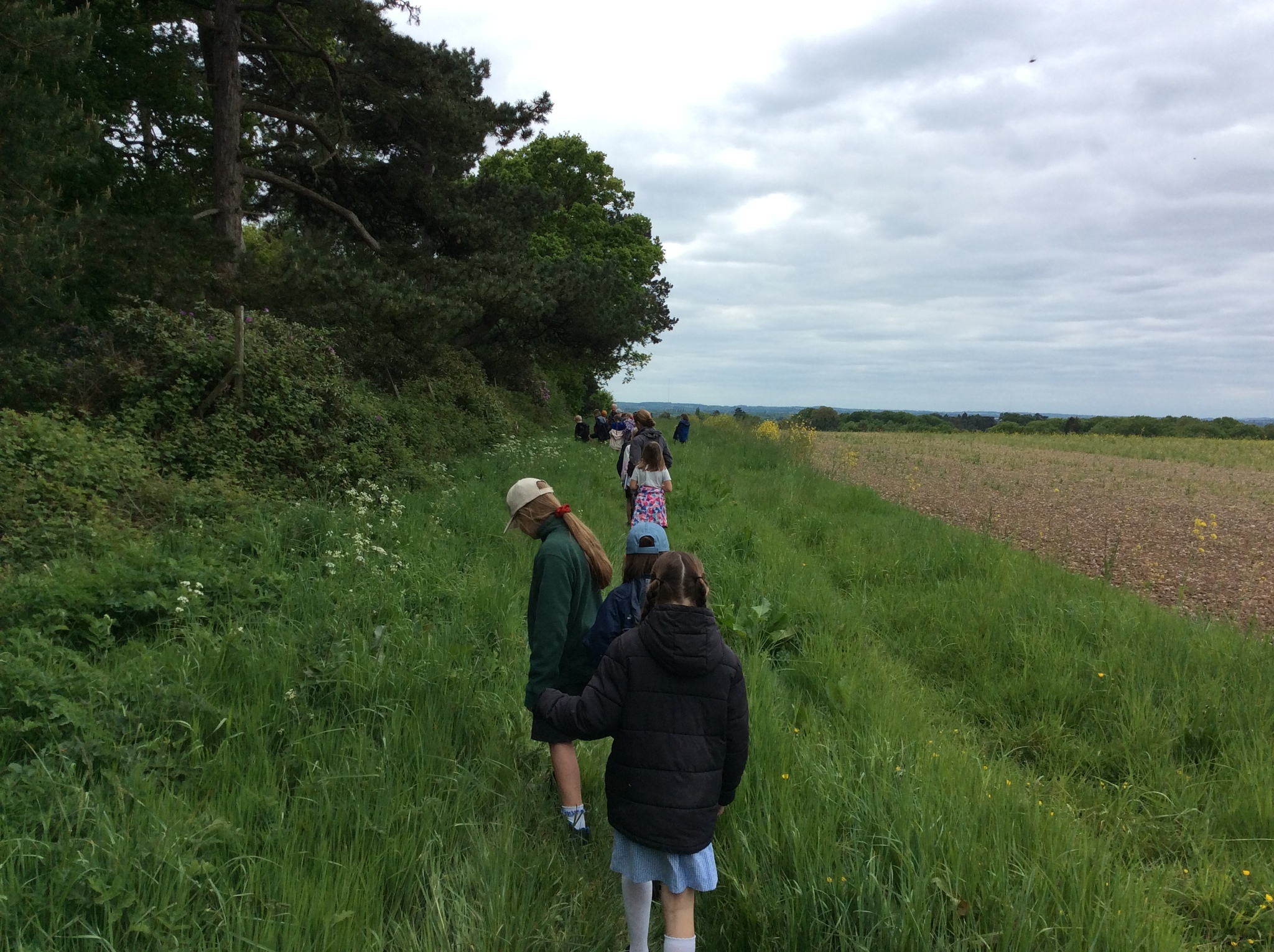 Image of Class 4 Packington Farm Trip 2025
