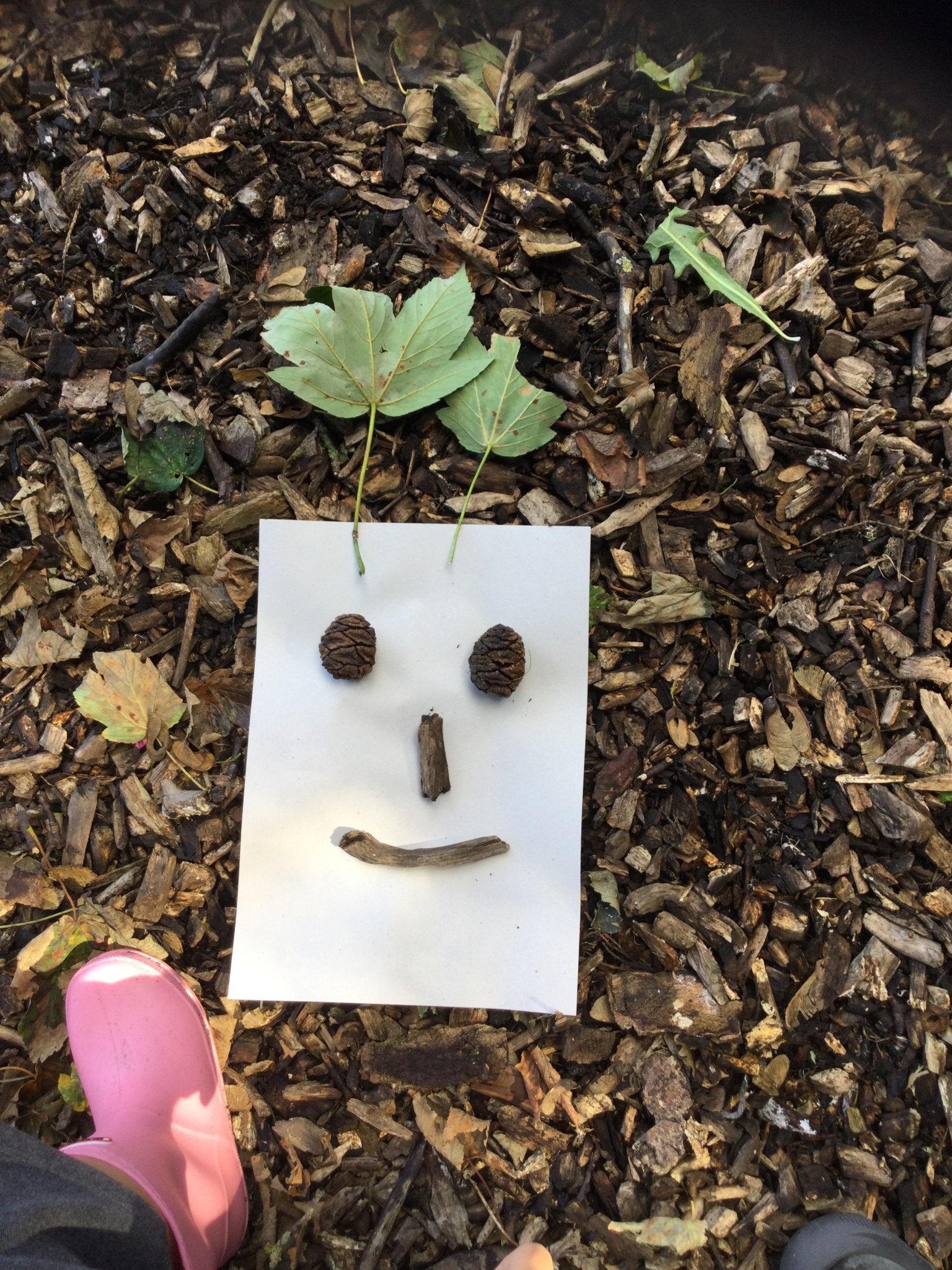 Image of Creating our own nature faces!