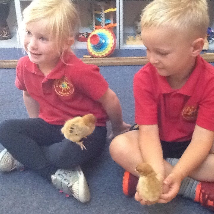 Image of Furry Cuddles at Nursery!