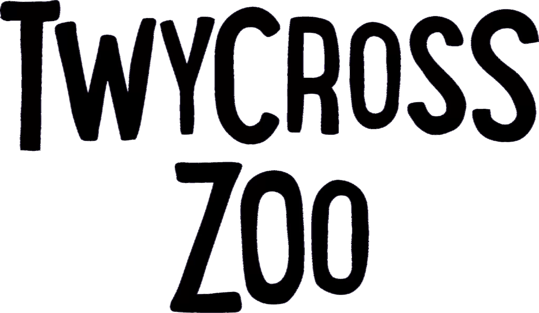 Image of Class 2 Visit Twycross Zoo