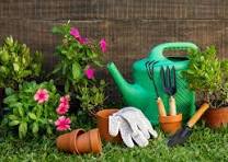 Image of Gardening Afternoon