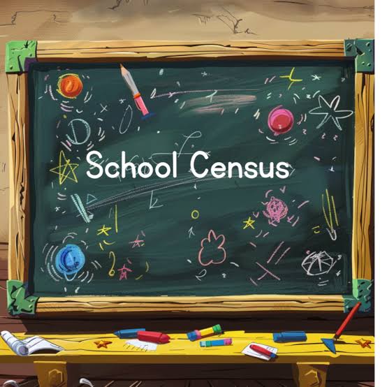 Image of Summer School Census
