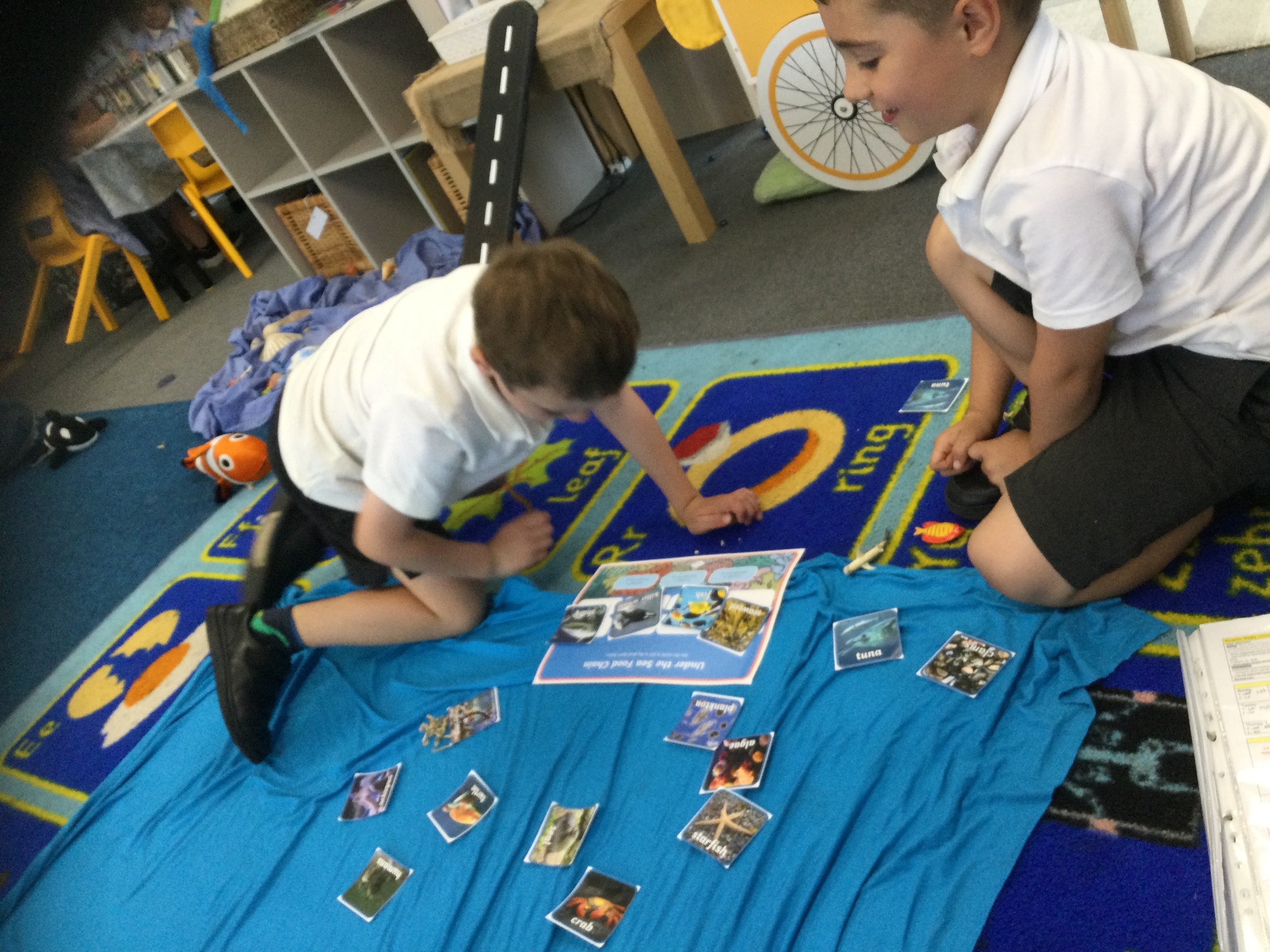 Image of Exploring food chains!